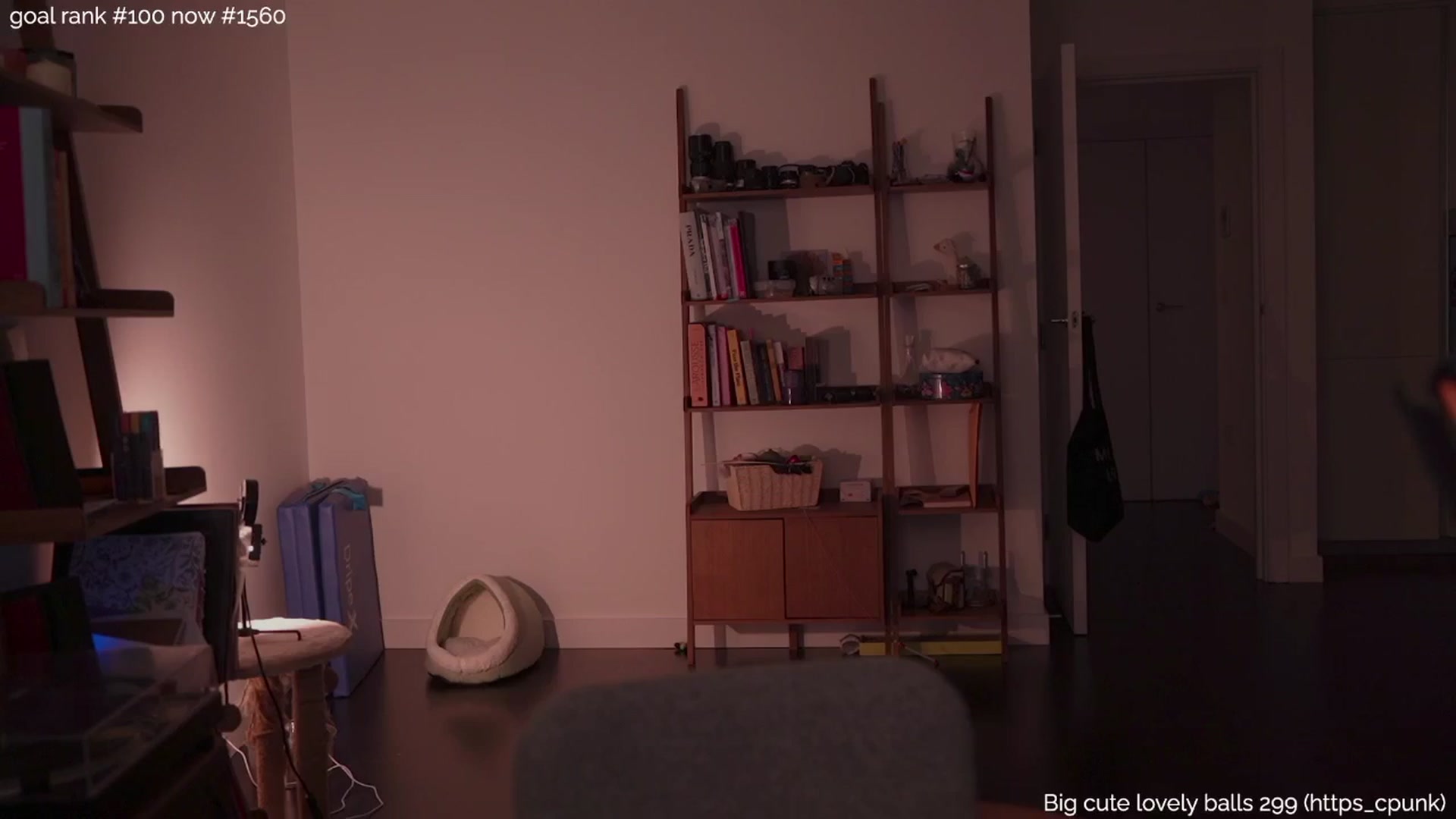 Gallery image thumbnail from https_sophie's myfreecams stream on, 07/02/2025, 24:57 image 14 of 20