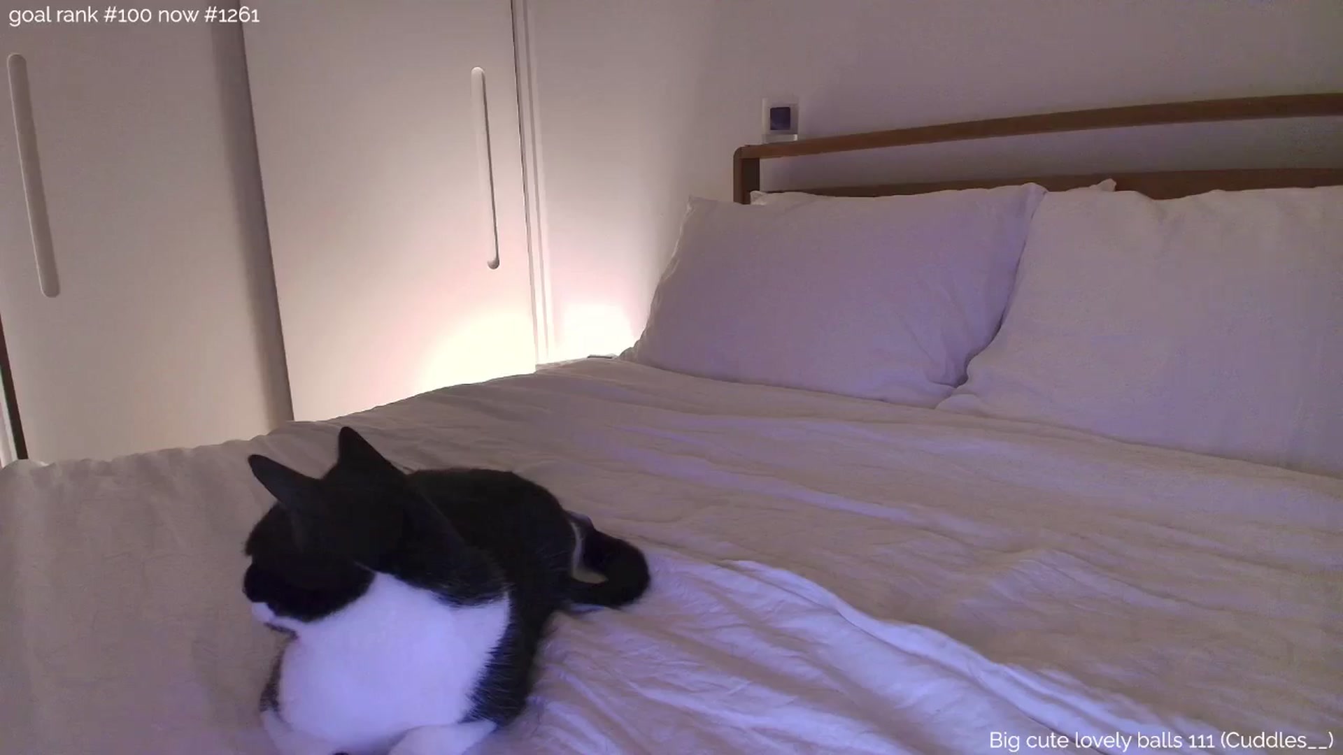 Gallery image thumbnail from https_sophie's myfreecams stream on, 07/22/2025, 24:51 image 10 of 20