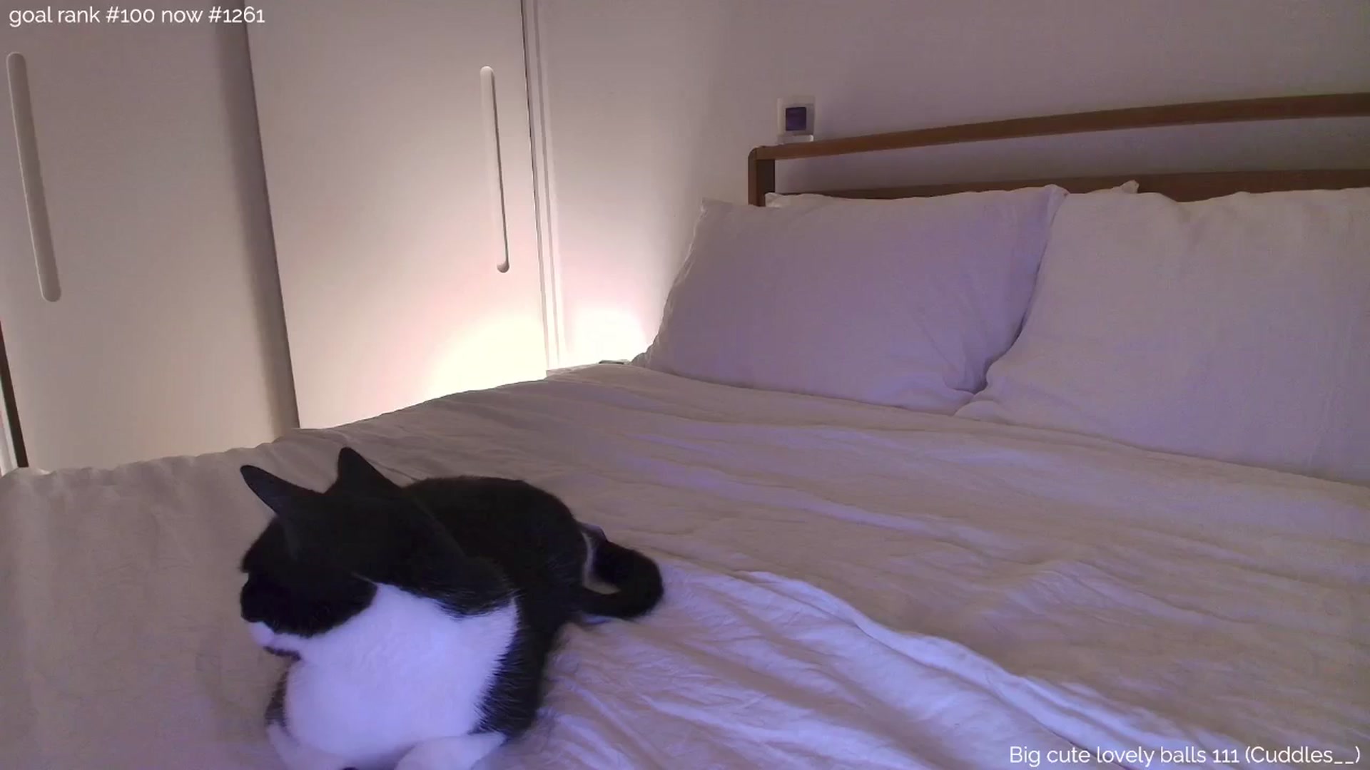Gallery image thumbnail from https_sophie's myfreecams stream on, 07/22/2025, 24:51 image 9 of 20