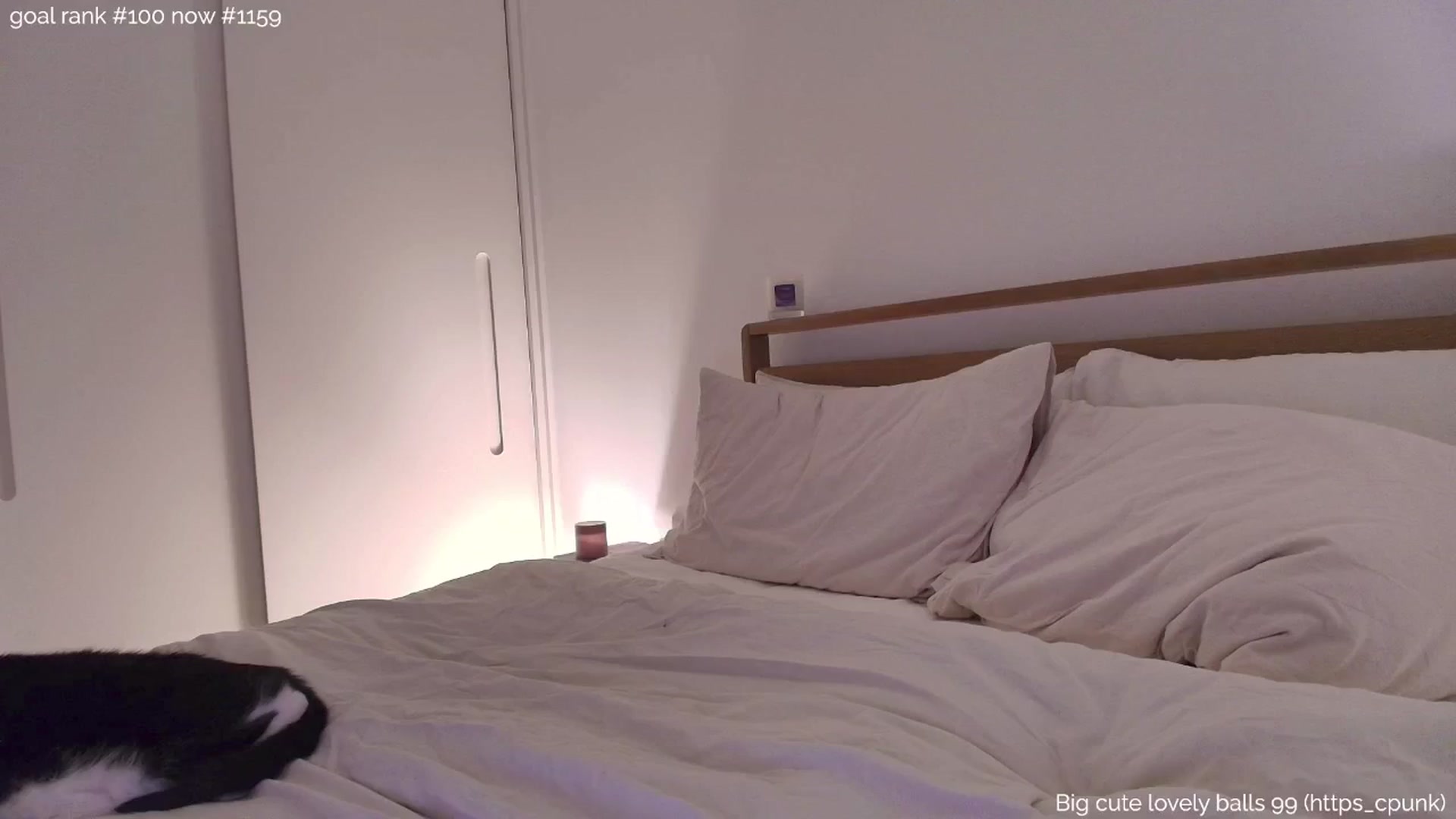 Gallery image thumbnail from https_sophie's myfreecams stream on, 07/26/2025, 02:34 image 10 of 20