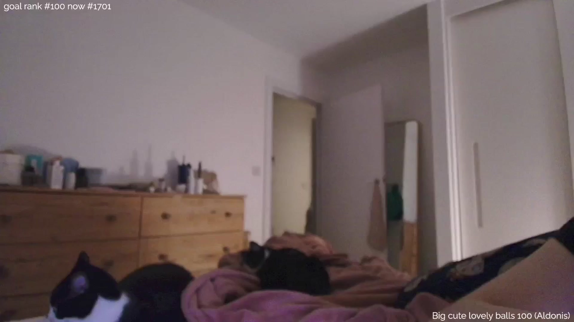 Gallery image thumbnail from https_sophie's myfreecams stream on, 08/31/2025, 24:03 image 4 of 20