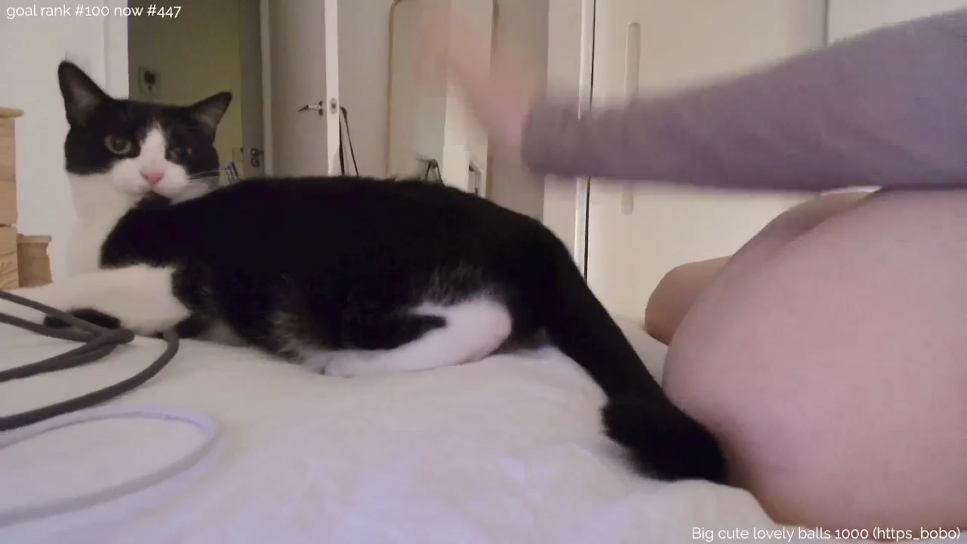 Gallery image thumbnail from https_sophie's myfreecams stream on, 09/22/2025, 22:16 image 8 of 20