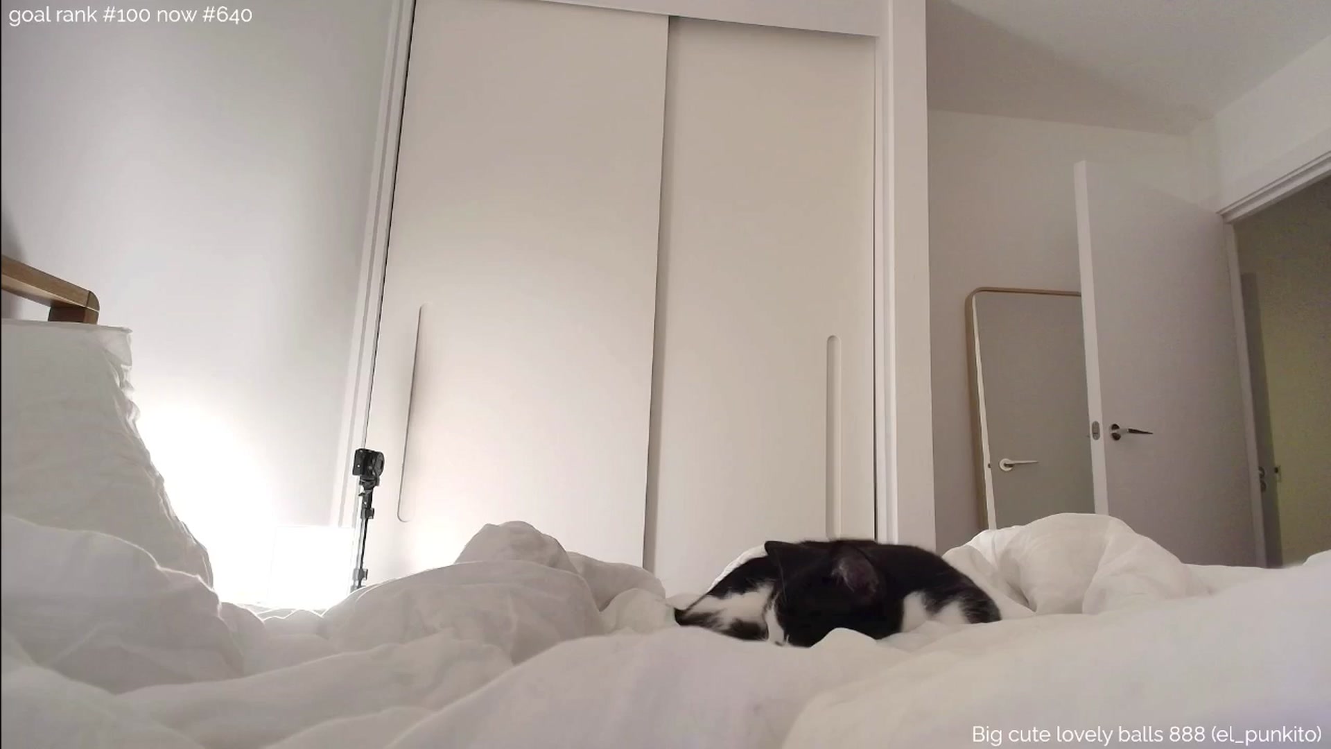 Gallery image thumbnail from https_sophie's myfreecams stream on, 10/03/2025, 01:45 image 7 of 20