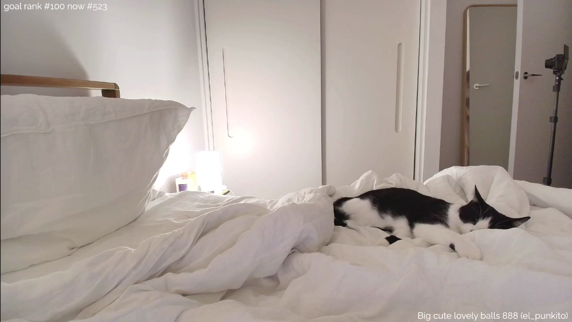 Gallery image thumbnail from https_sophie's myfreecams stream on, 10/03/2025, 01:45 image 11 of 20