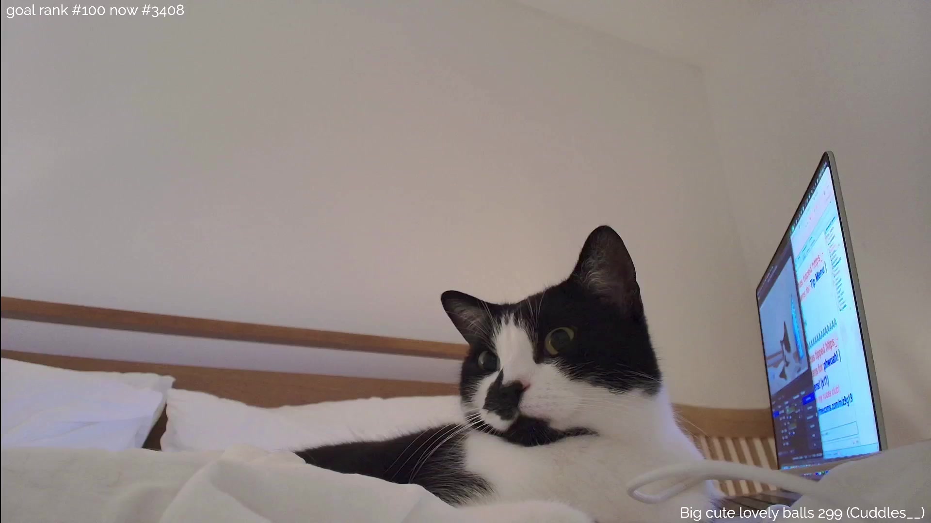 Gallery image thumbnail from https_sophie's myfreecams stream on, 11/04/2025, 24:02 image 10 of 20