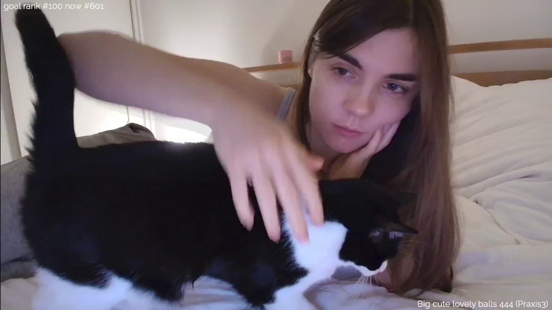 Gallery image thumbnail from https_sophie's myfreecams stream on, 11/08/2025, 02:59 image 18 of 20