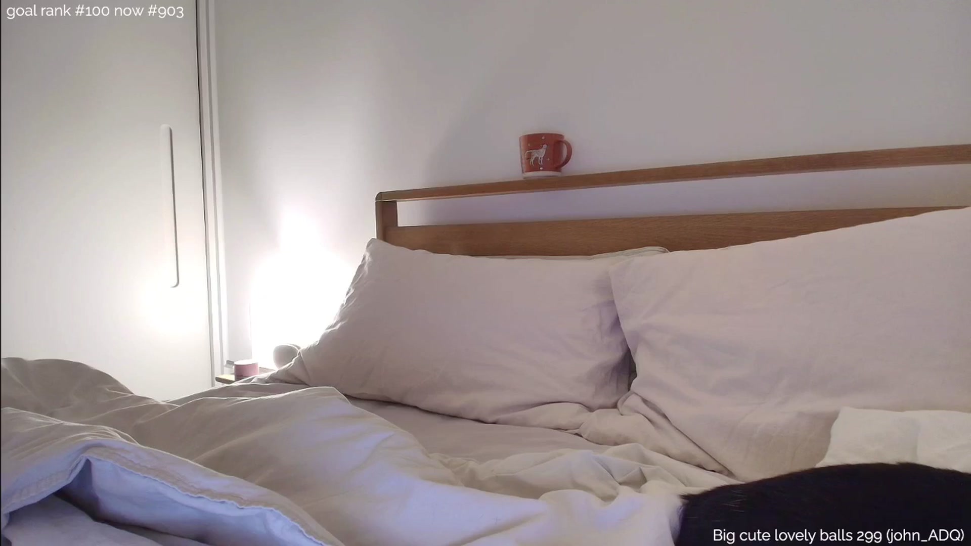Gallery image thumbnail from https_sophie's myfreecams stream on, 11/19/2025, 24:01 image 17 of 20