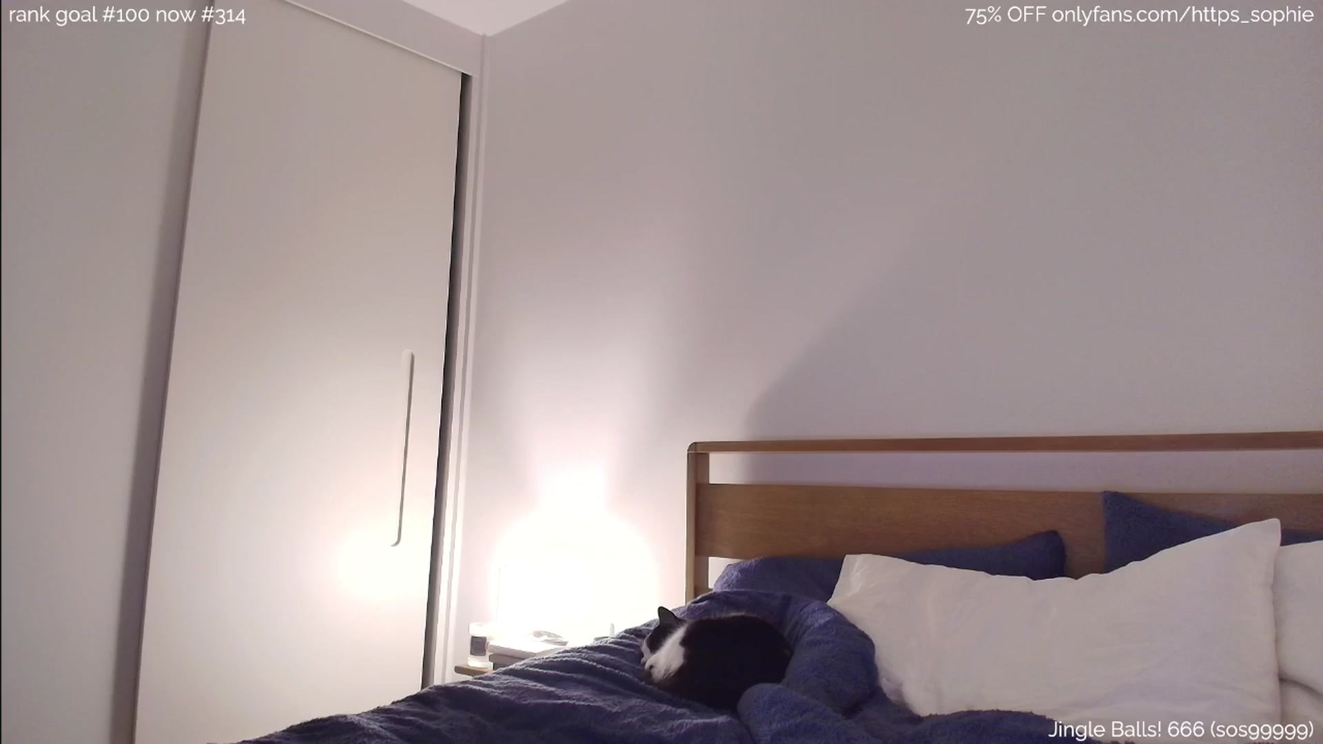 Gallery image thumbnail from https_sophie's myfreecams stream on, 01/09/2026, 23:02 image 20 of 20
