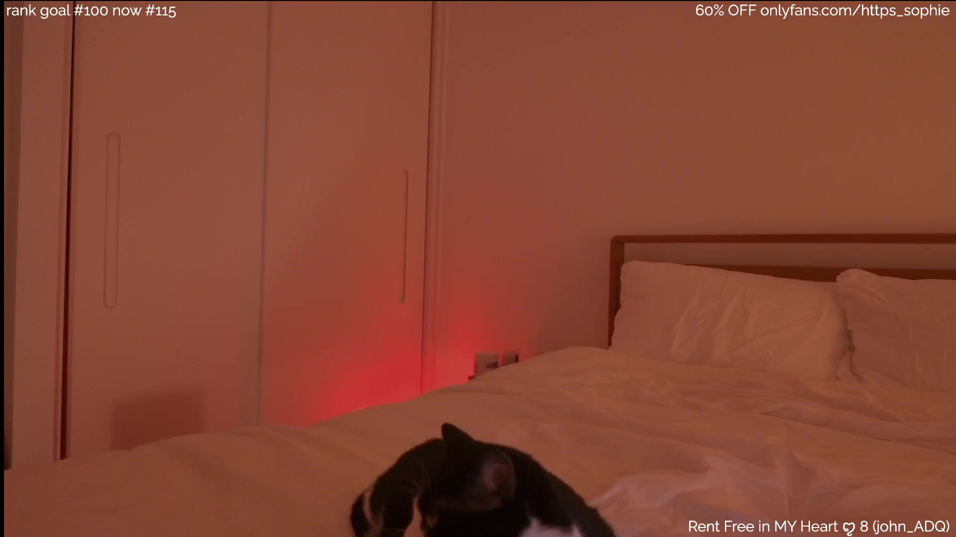 Gallery image thumbnail from https_sophie's myfreecams stream on, 02/10/2026, 24:45 image 17 of 20