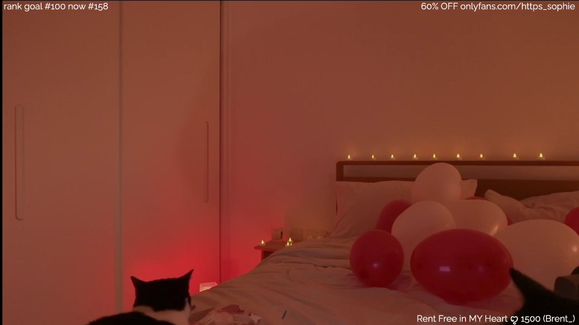 Gallery image thumbnail from https_sophie's myfreecams stream on, 02/13/2026, 23:38 image 12 of 20