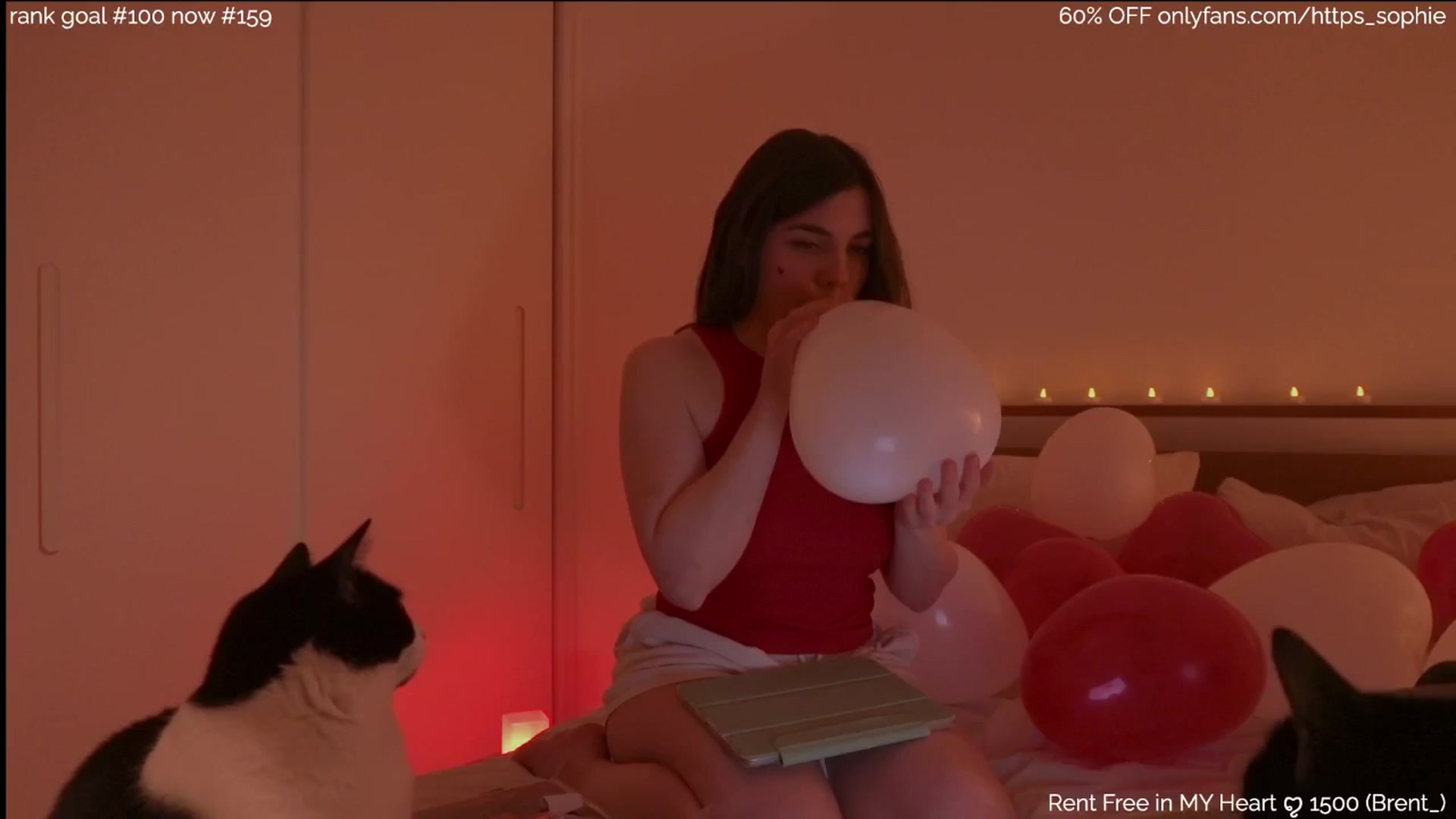 Gallery image thumbnail from https_sophie's myfreecams stream on, 02/13/2026, 23:38 image 11 of 20