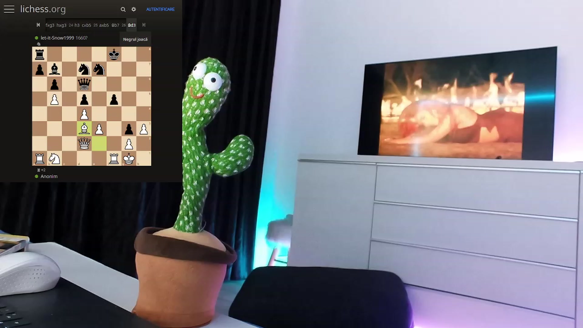 Gallery image thumbnail from hunny_bunny25's myfreecams stream on, 03/16/2023, 04:35 image 1 of 20