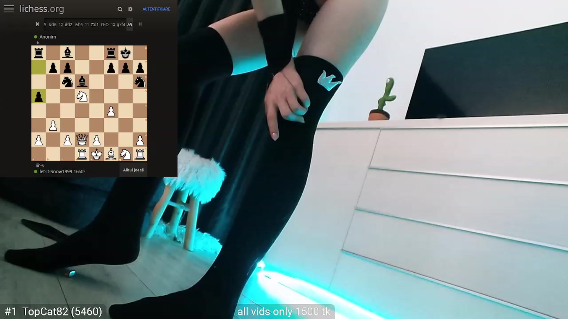 Gallery image thumbnail from hunny_bunny25's myfreecams stream on, 09/16/2023, 04:02 image 5 of 20