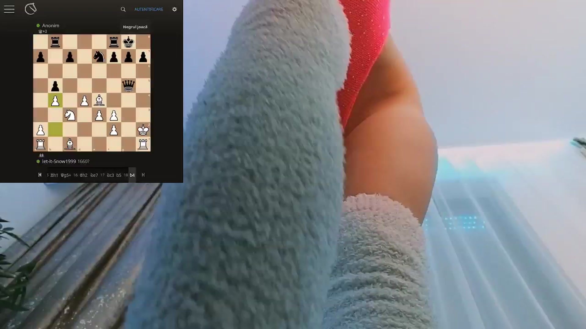 Gallery image thumbnail from hunny_bunny25's myfreecams stream on, 10/19/2024, 03:26 image 11 of 20