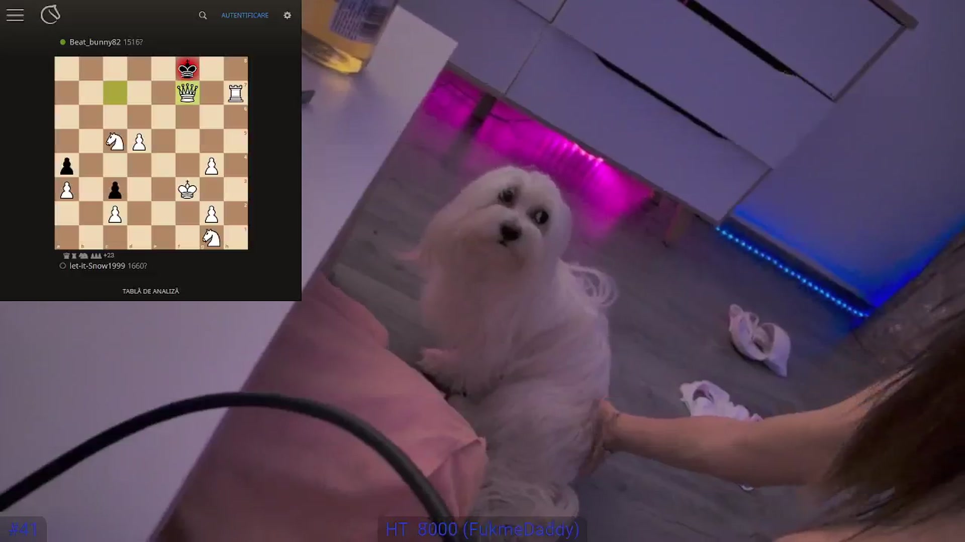 Gallery image thumbnail from hunny_bunny25's myfreecams stream on, 06/02/2025, 03:08 image 17 of 20