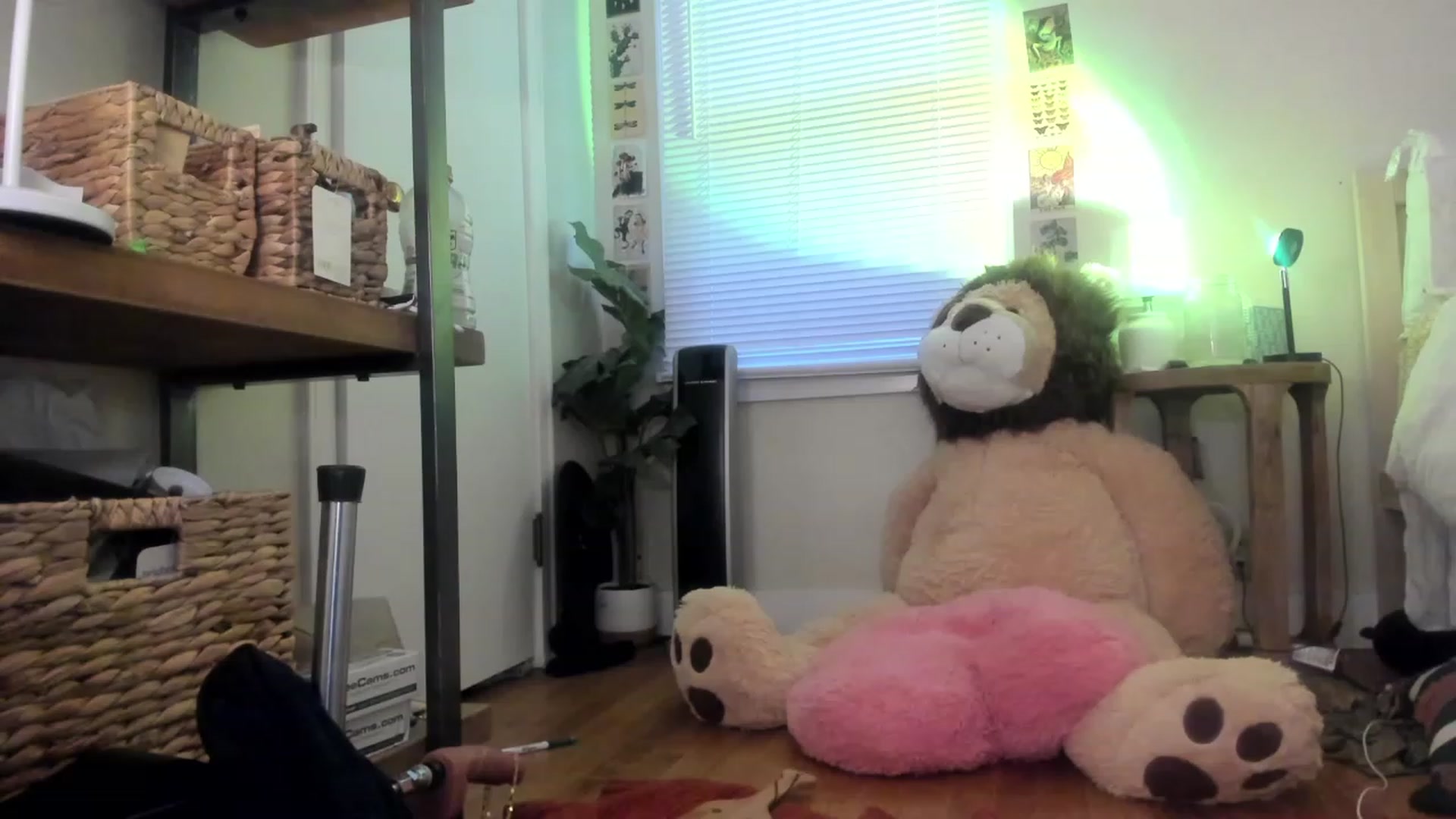 Gallery image thumbnail from iKarli's myfreecams stream on, 03/18/2023, 14:13 image 2 of 20