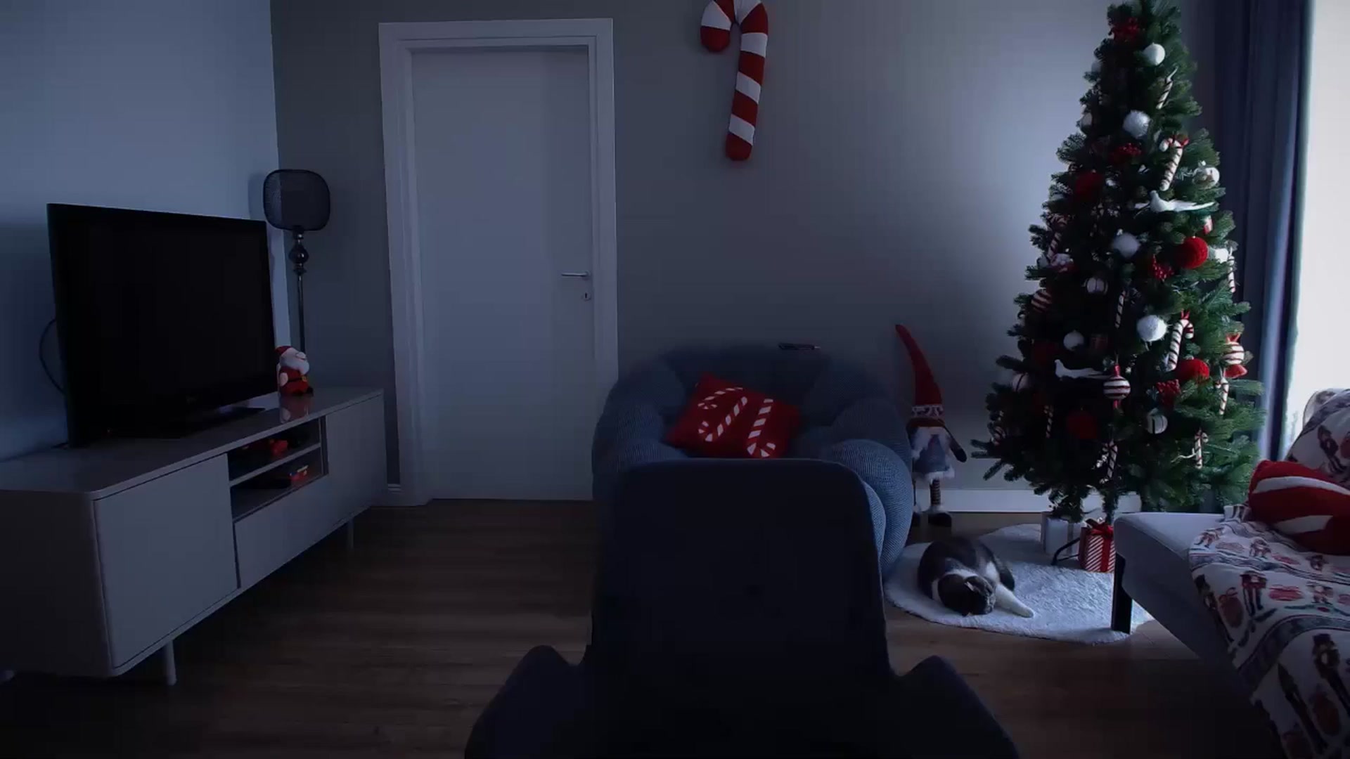 Gallery image thumbnail from iTease's myfreecams stream on, 12/12/2024, 11:36 image 8 of 20