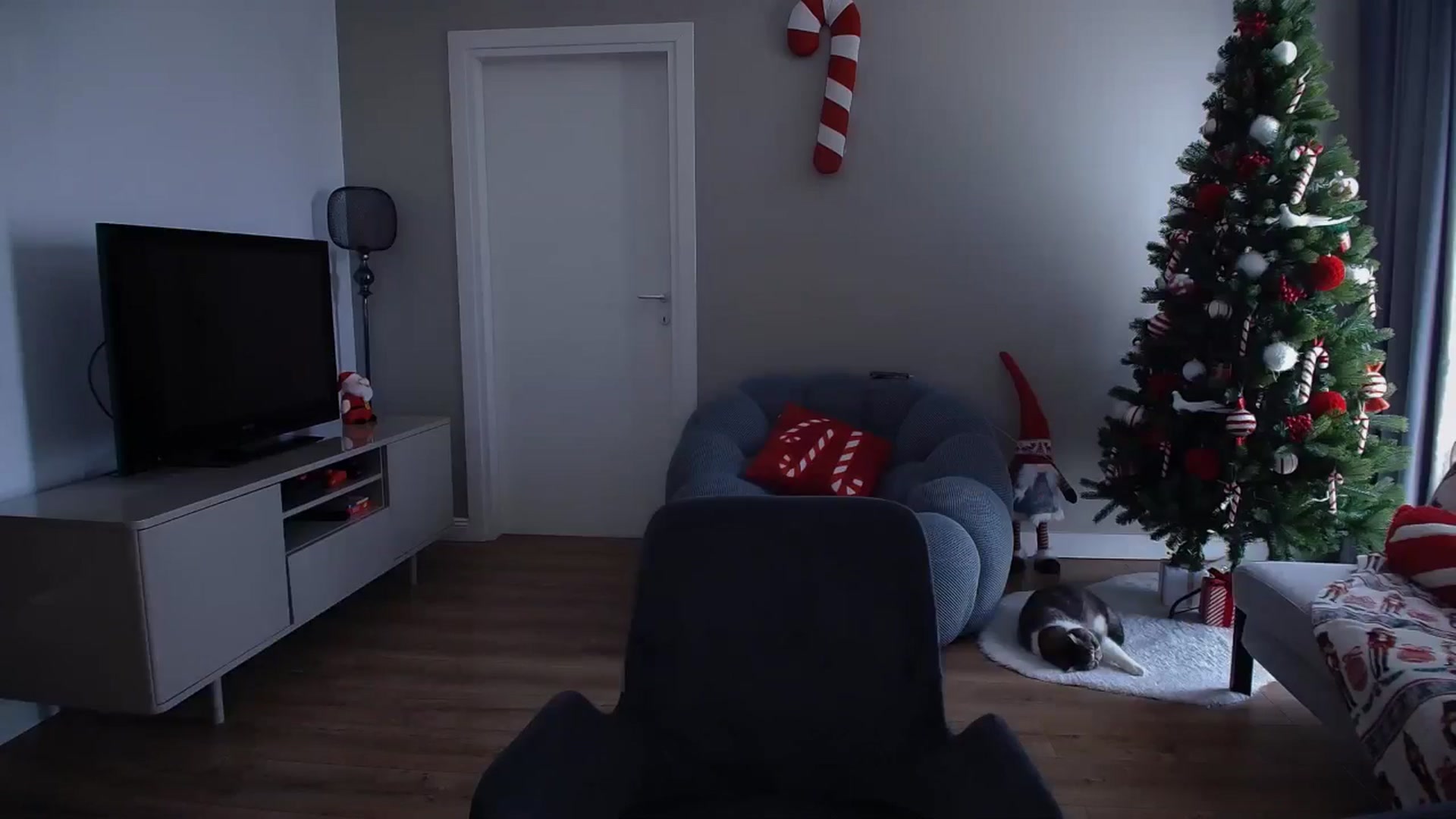 Gallery image thumbnail from iTease's myfreecams stream on, 12/12/2024, 11:36 image 5 of 20