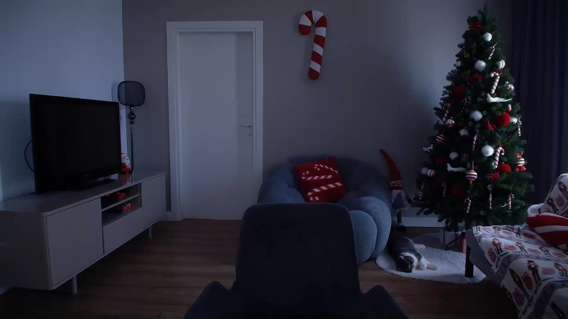 Gallery image thumbnail from iTease's myfreecams stream on, 12/17/2024, 11:40 image 2 of 20