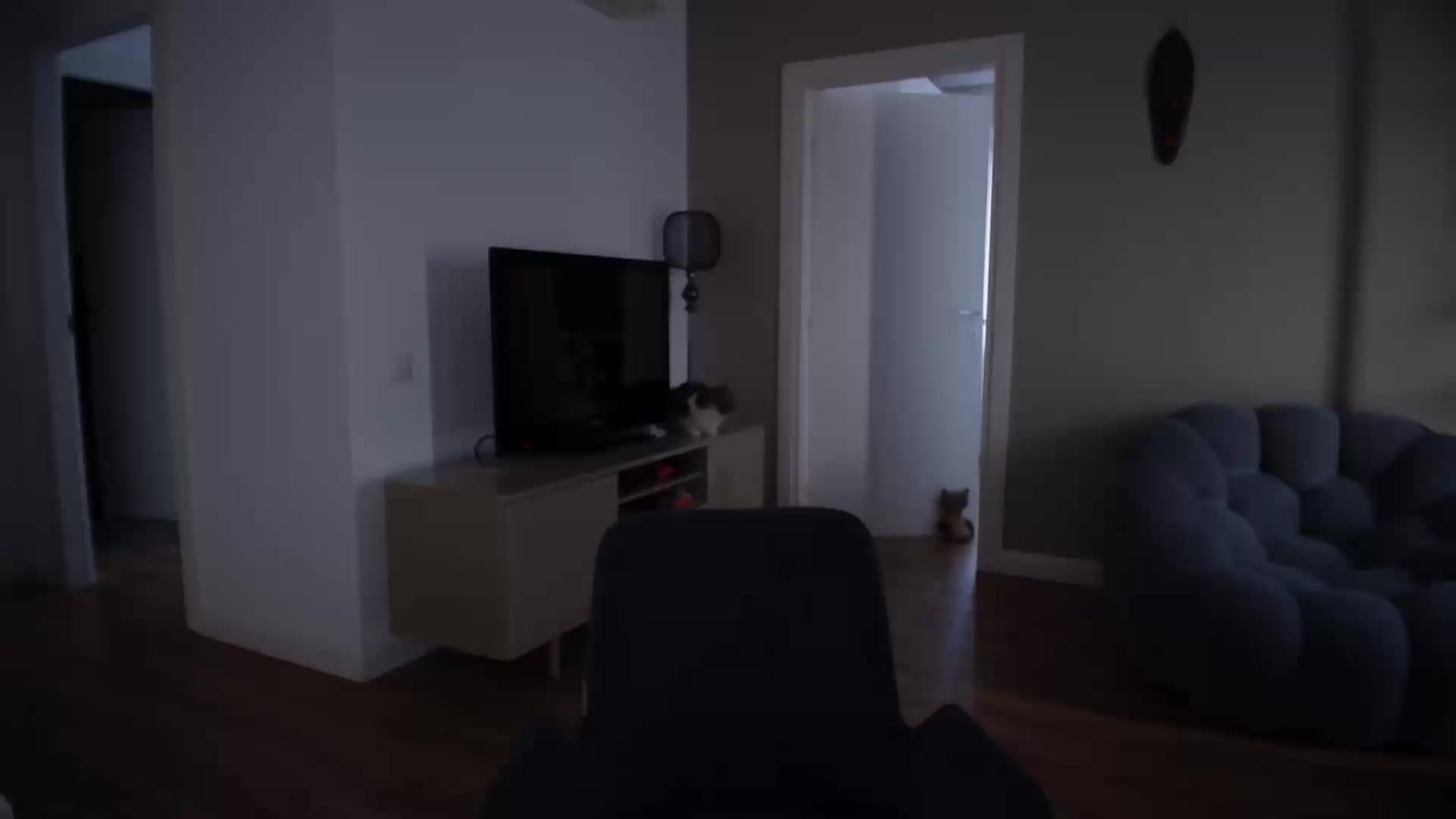 Gallery image thumbnail from iTease's myfreecams stream on, 01/15/2025, 08:03 image 15 of 20