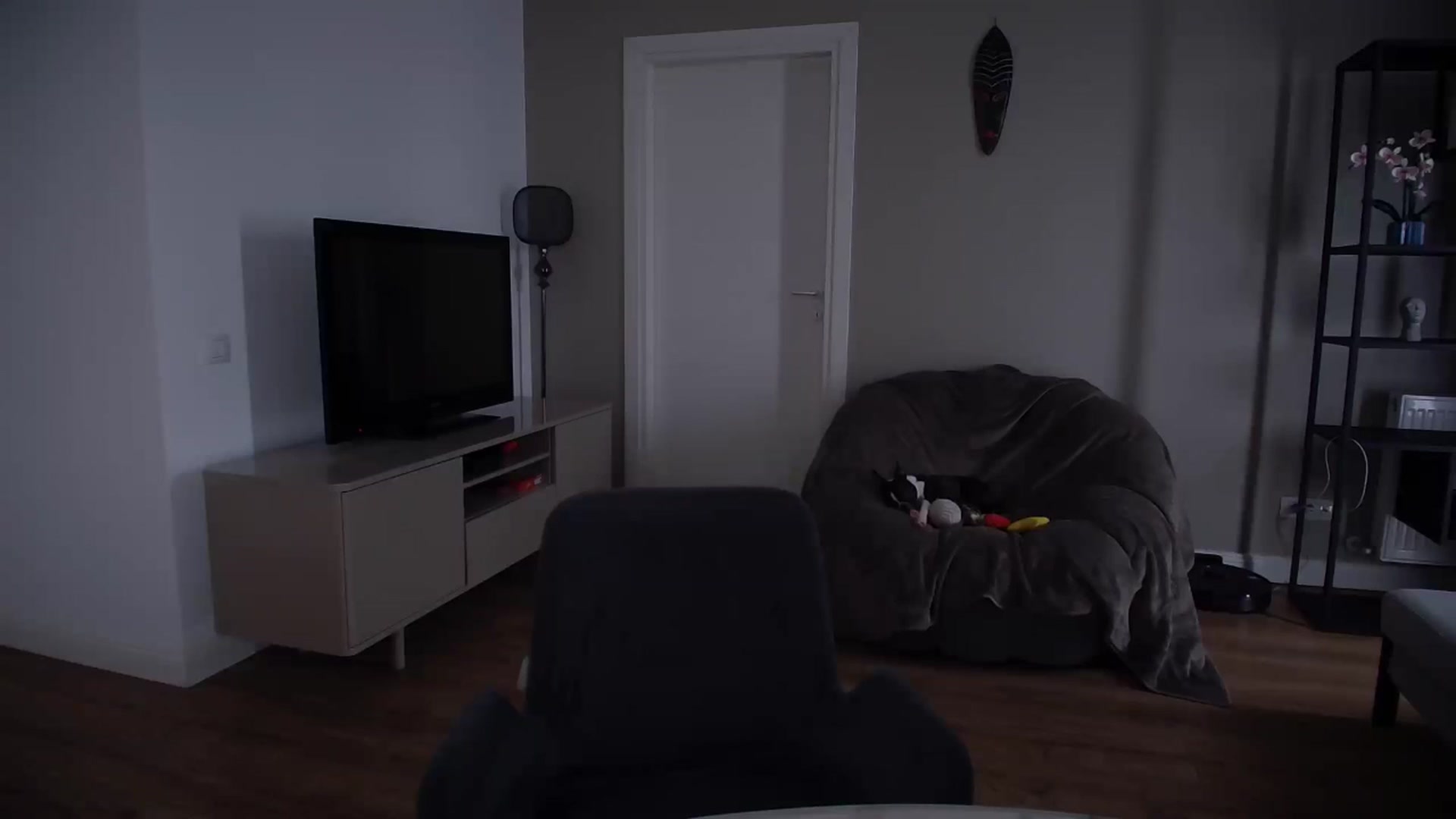 Gallery image thumbnail from iTease's myfreecams stream on, 03/17/2025, 11:48 image 3 of 20
