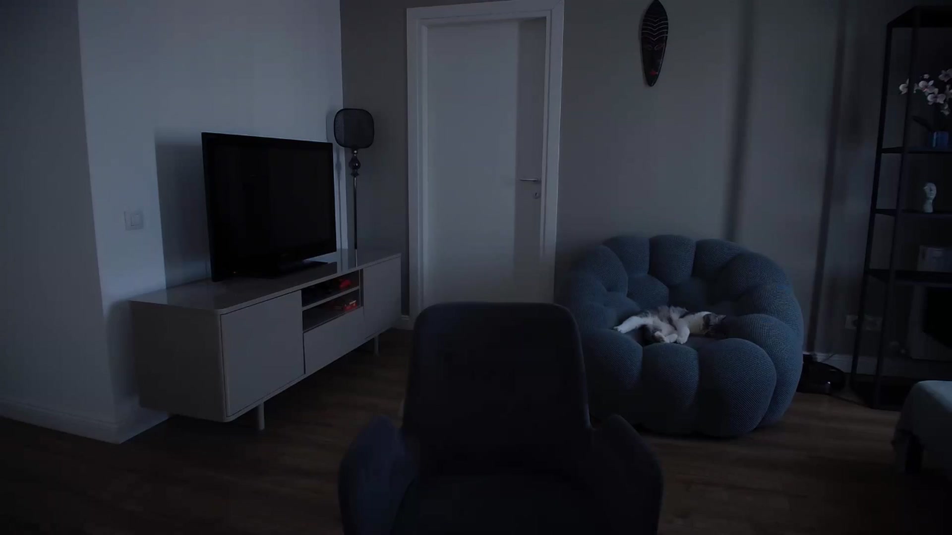 Gallery image thumbnail from iTease's myfreecams stream on, 04/29/2025, 11:34 image 1 of 20