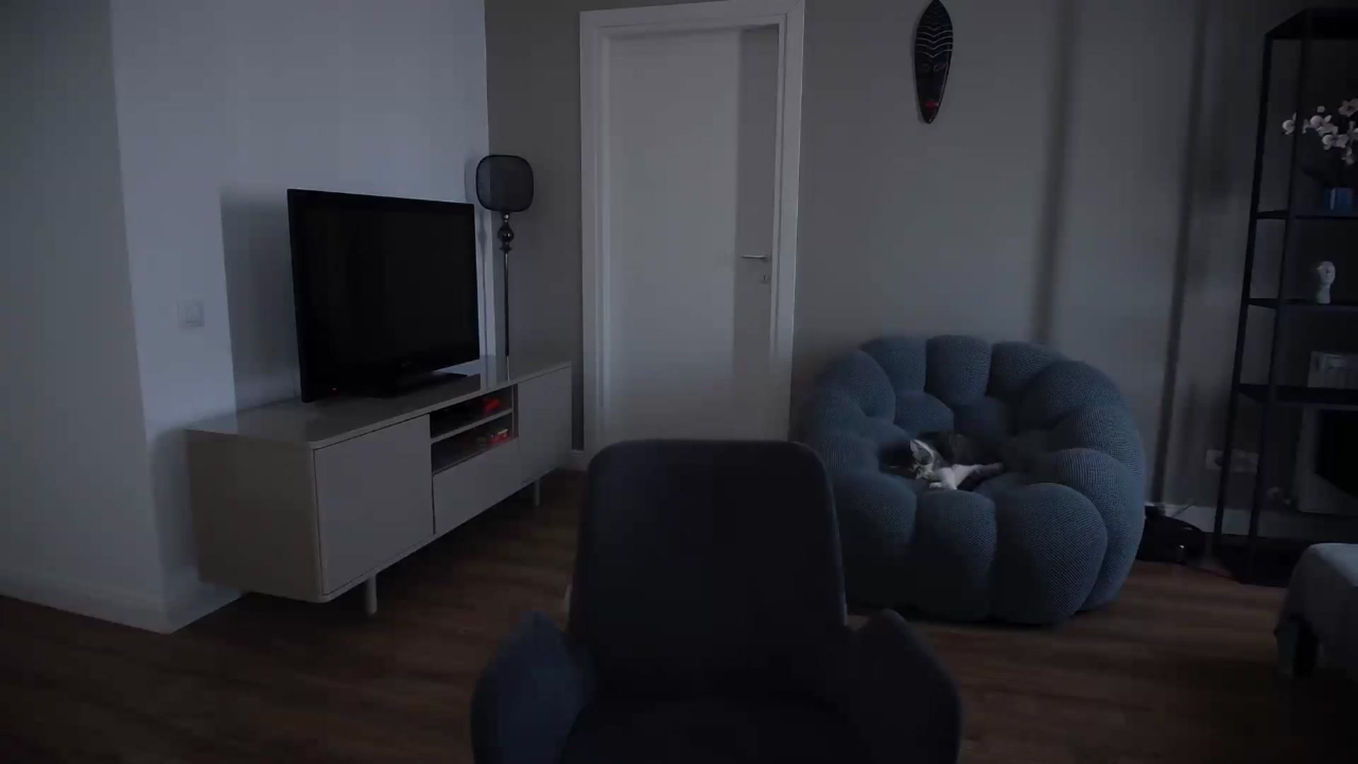 Gallery image thumbnail from iTease's myfreecams stream on, 04/29/2025, 11:34 image 12 of 20
