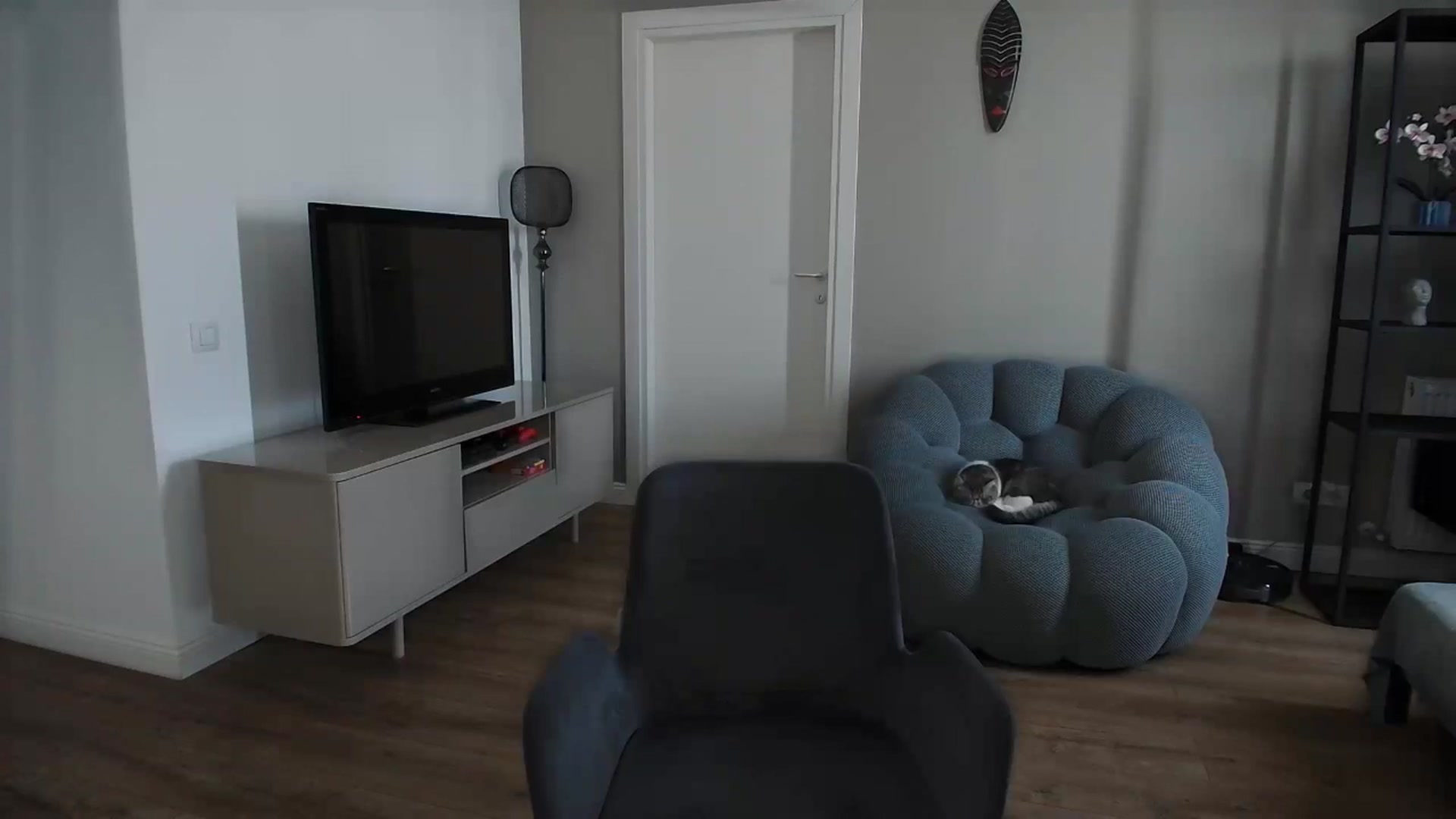 Gallery image thumbnail from iTease's myfreecams stream on, 04/29/2025, 11:34 image 6 of 20