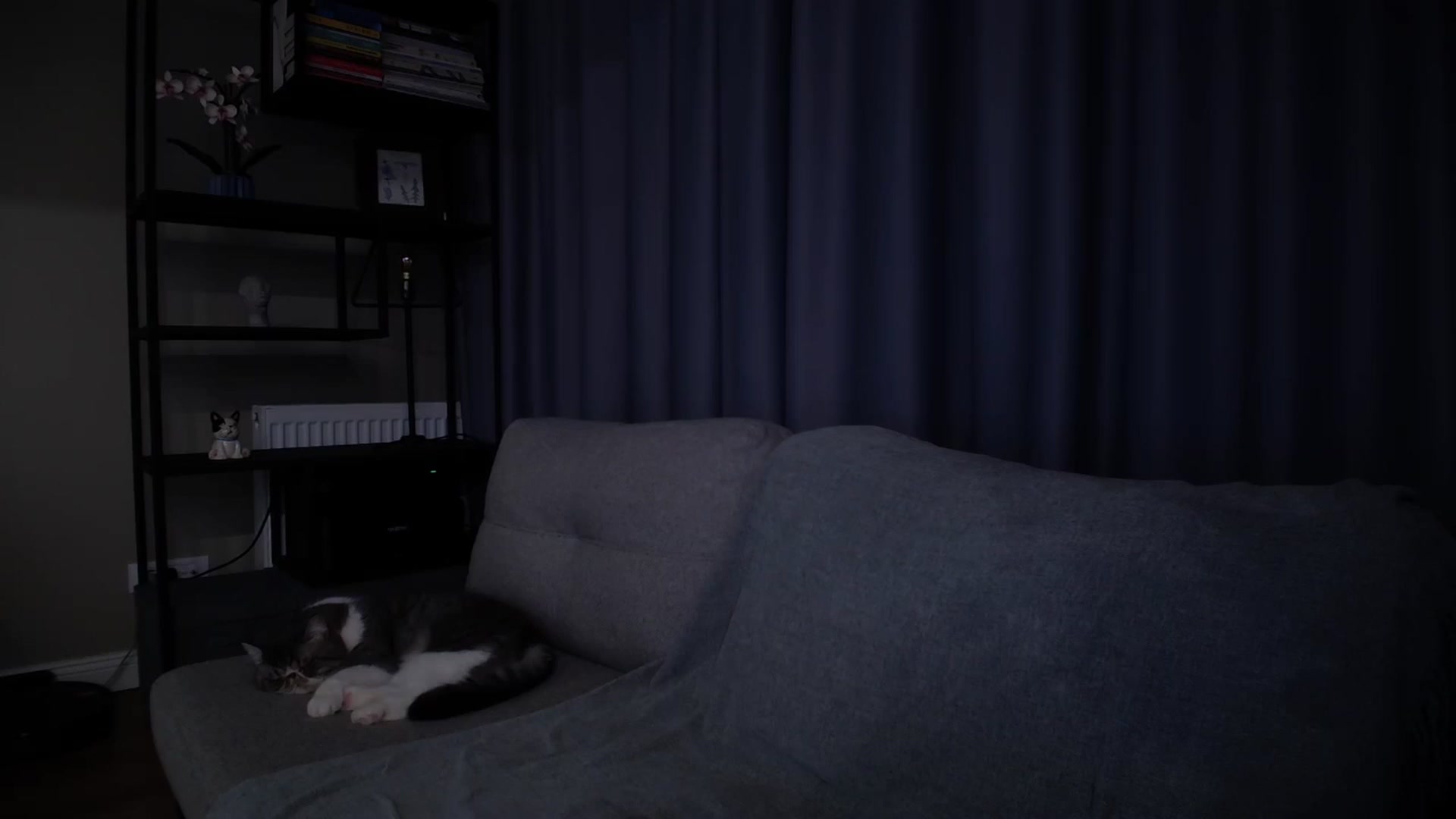 Gallery image thumbnail from iTease's myfreecams stream on, 07/18/2025, 21:43 image 7 of 20