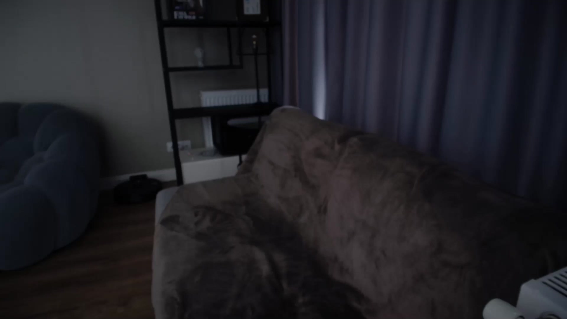 Gallery image thumbnail from iTease's myfreecams stream on, 01/20/2026, 08:33 image 6 of 20