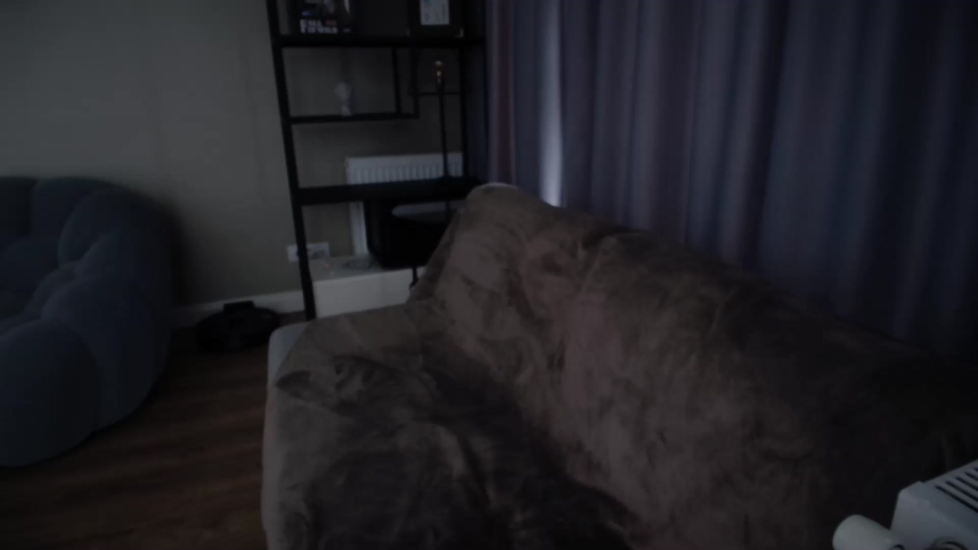 Gallery image thumbnail from iTease's myfreecams stream on, 01/20/2026, 08:33 image 2 of 20