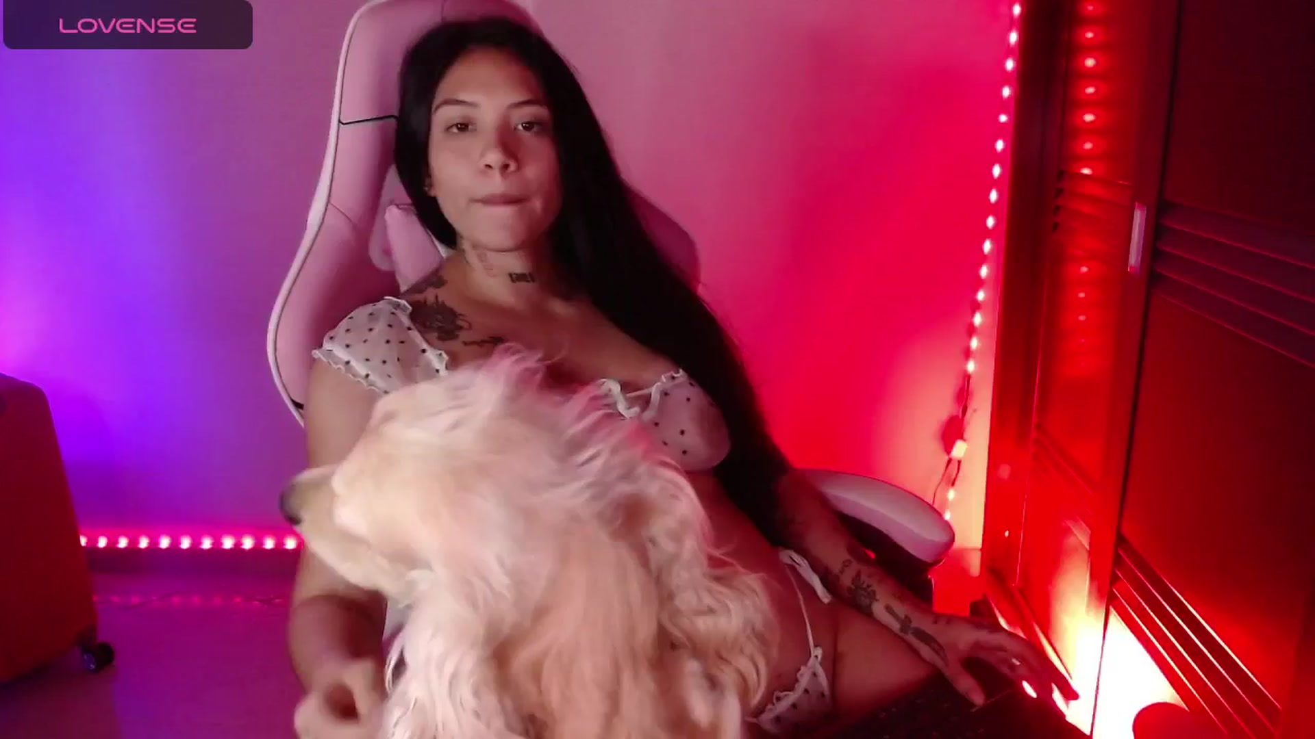 Gallery image thumbnail from iamsel's myfreecams stream on, 04/06/2025, 03:06 image 14 of 20