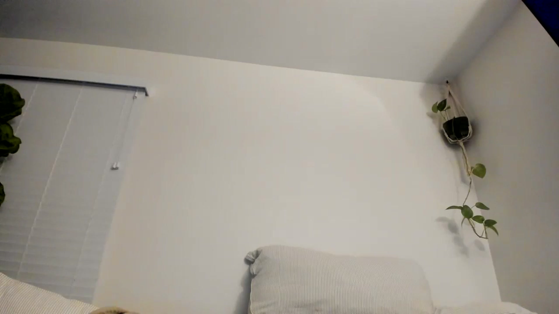 Gallery image thumbnail from imava's myfreecams stream on, 11/18/2023, 10:25 image 9 of 20
