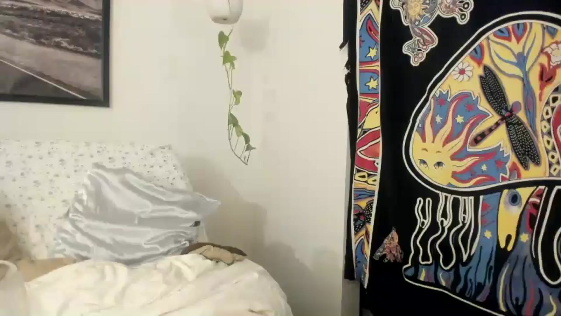 Gallery image thumbnail from imava's myfreecams stream on, 12/02/2023, 16:11 image 13 of 20