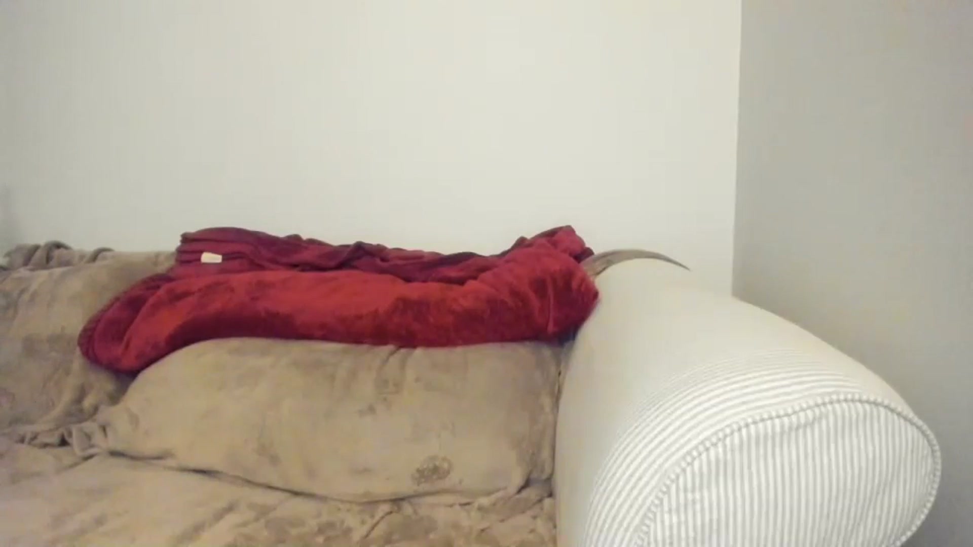 Gallery image thumbnail from imava's myfreecams stream on, 01/16/2024, 08:40 image 20 of 20