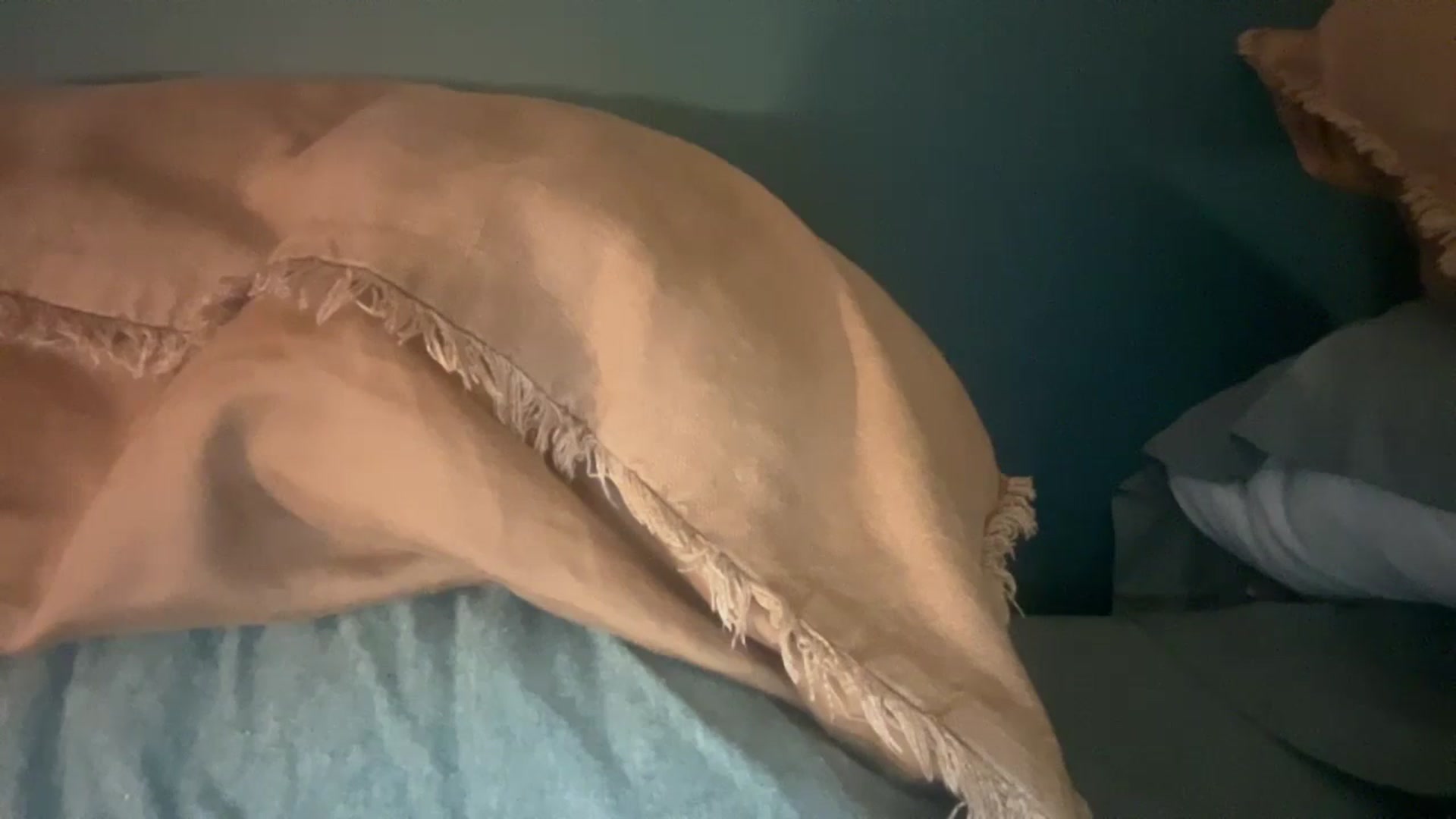 Gallery image thumbnail from imava's myfreecams stream on, 11/08/2024, 23:04 image 20 of 20