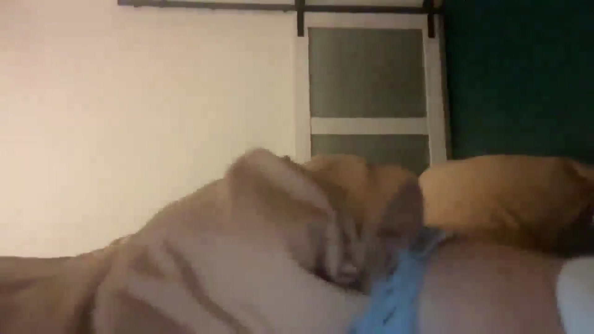 Gallery image thumbnail from imava's myfreecams stream on, 02/05/2025, 22:56 image 19 of 20