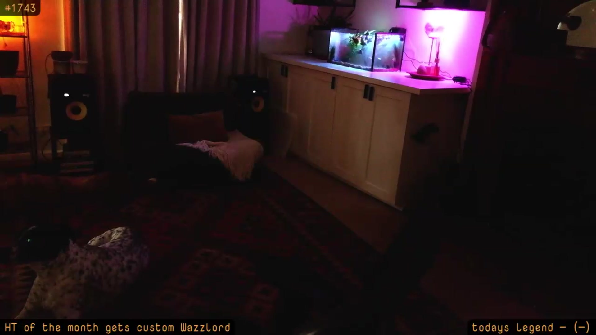 Gallery image thumbnail from imhoneyhoneyhoney's myfreecams stream on, 09/18/2026, 07:36 image 18 of 20