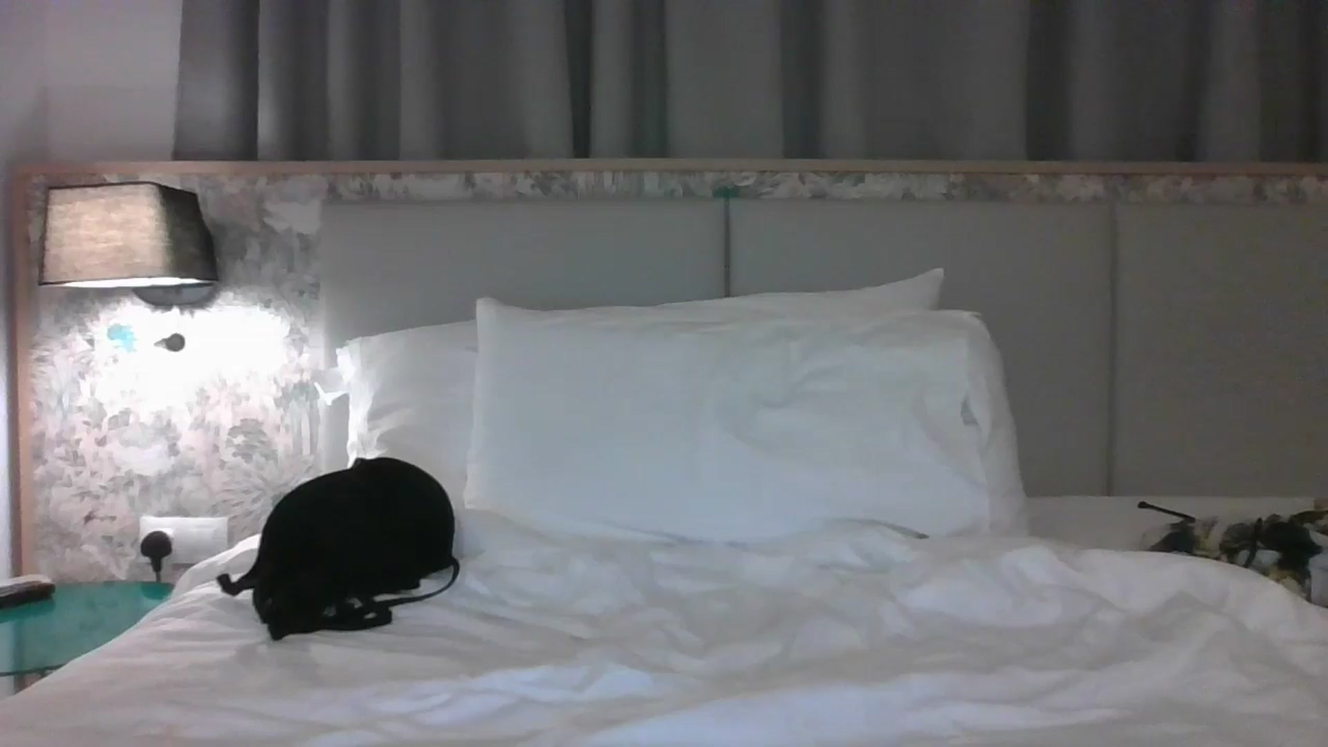 Gallery image thumbnail from innocentSamx's myfreecams stream on, 07/28/2024, 24:33 image 11 of 20