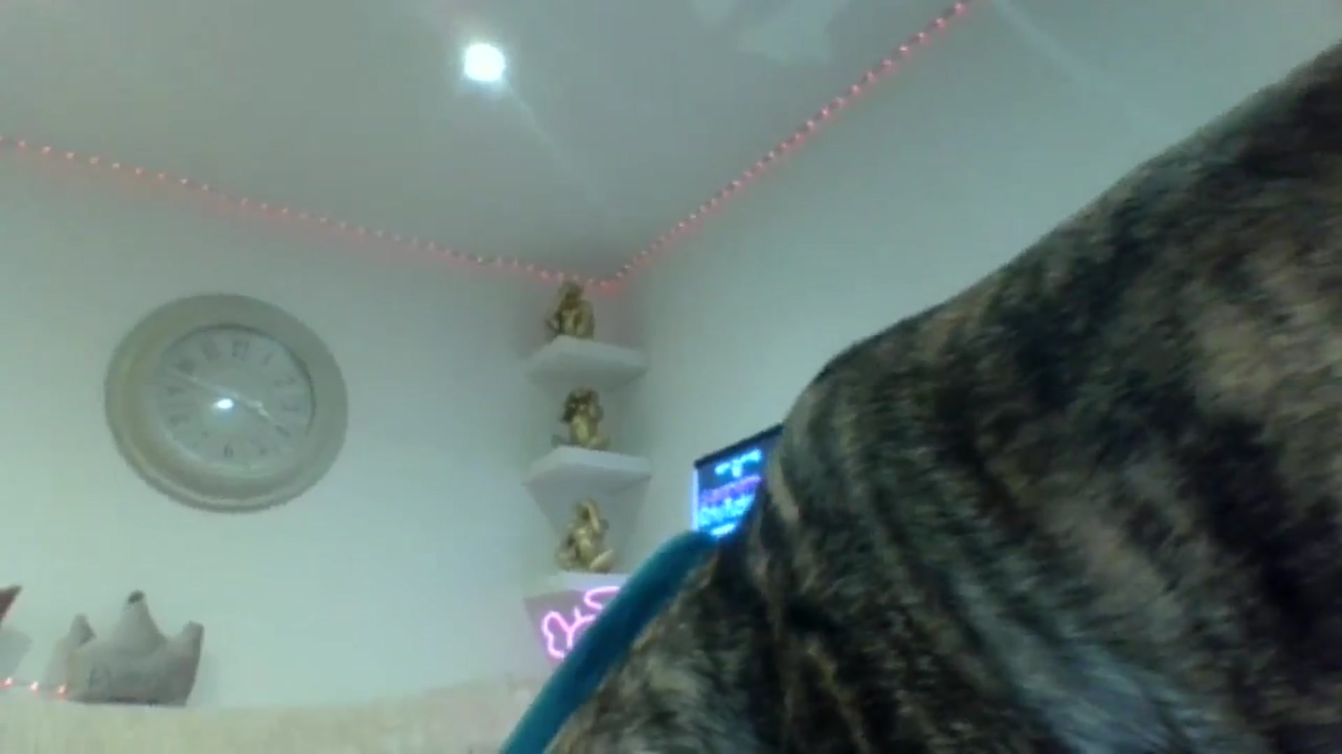 Gallery image thumbnail from innocentSamx's myfreecams stream on, 09/12/2024, 15:10 image 11 of 20