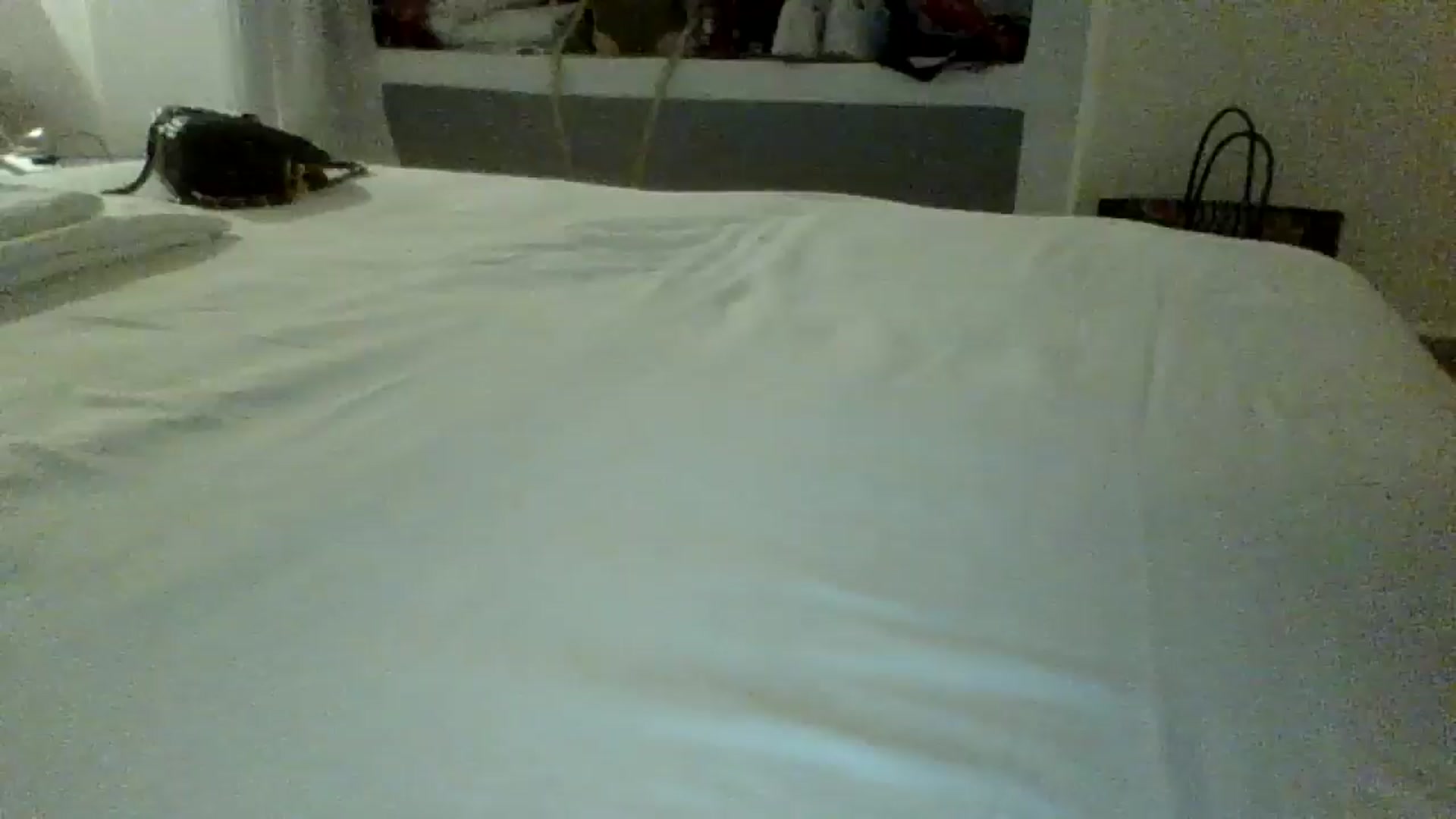 Gallery image thumbnail from innocentSamx's myfreecams stream on, 09/24/2024, 21:52 image 1 of 20