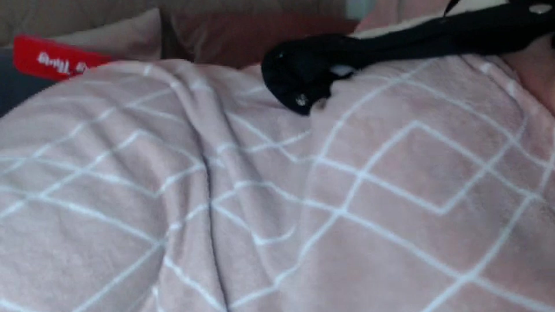 Gallery image thumbnail from innocentSamx's myfreecams stream on, 01/01/2025, 11:17 image 17 of 20