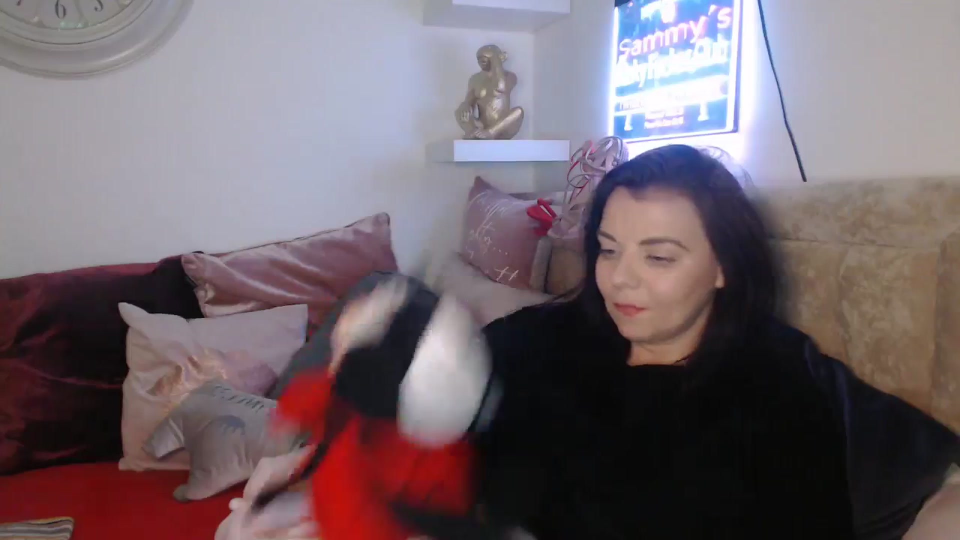 Gallery image thumbnail from innocentSamx's myfreecams stream on, 03/18/2025, 22:33 image 11 of 20