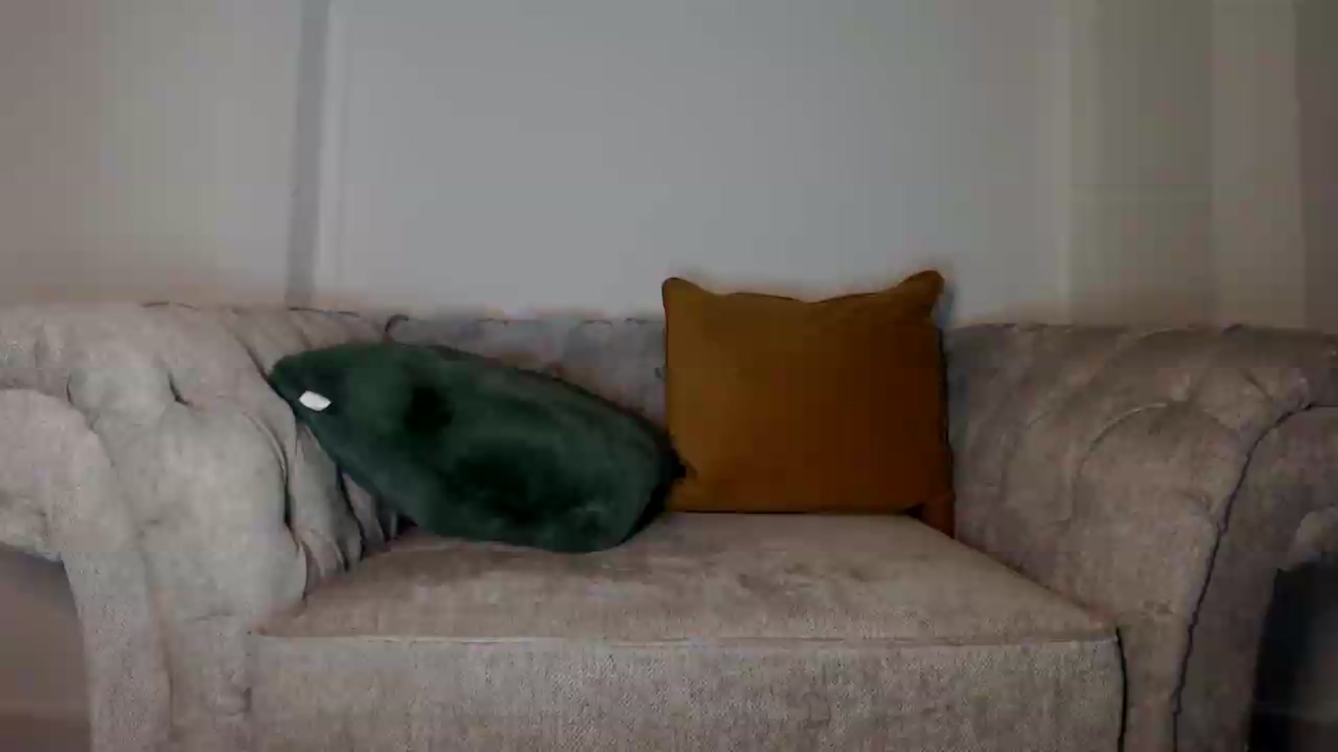 Gallery image thumbnail from innocentSamx's myfreecams stream on, 07/15/2026, 21:50 image 19 of 20