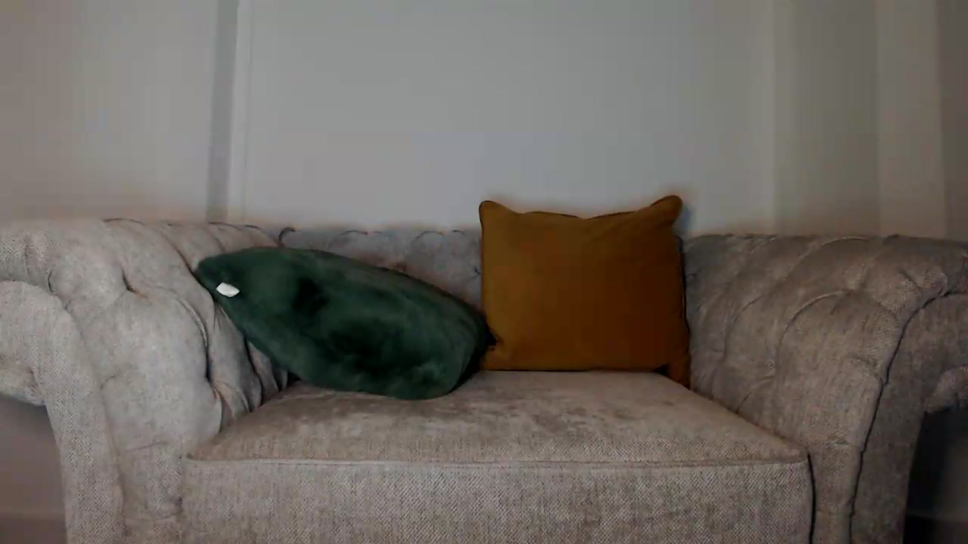 Gallery image thumbnail from innocentSamx's myfreecams stream on, 07/15/2026, 21:50 image 20 of 20