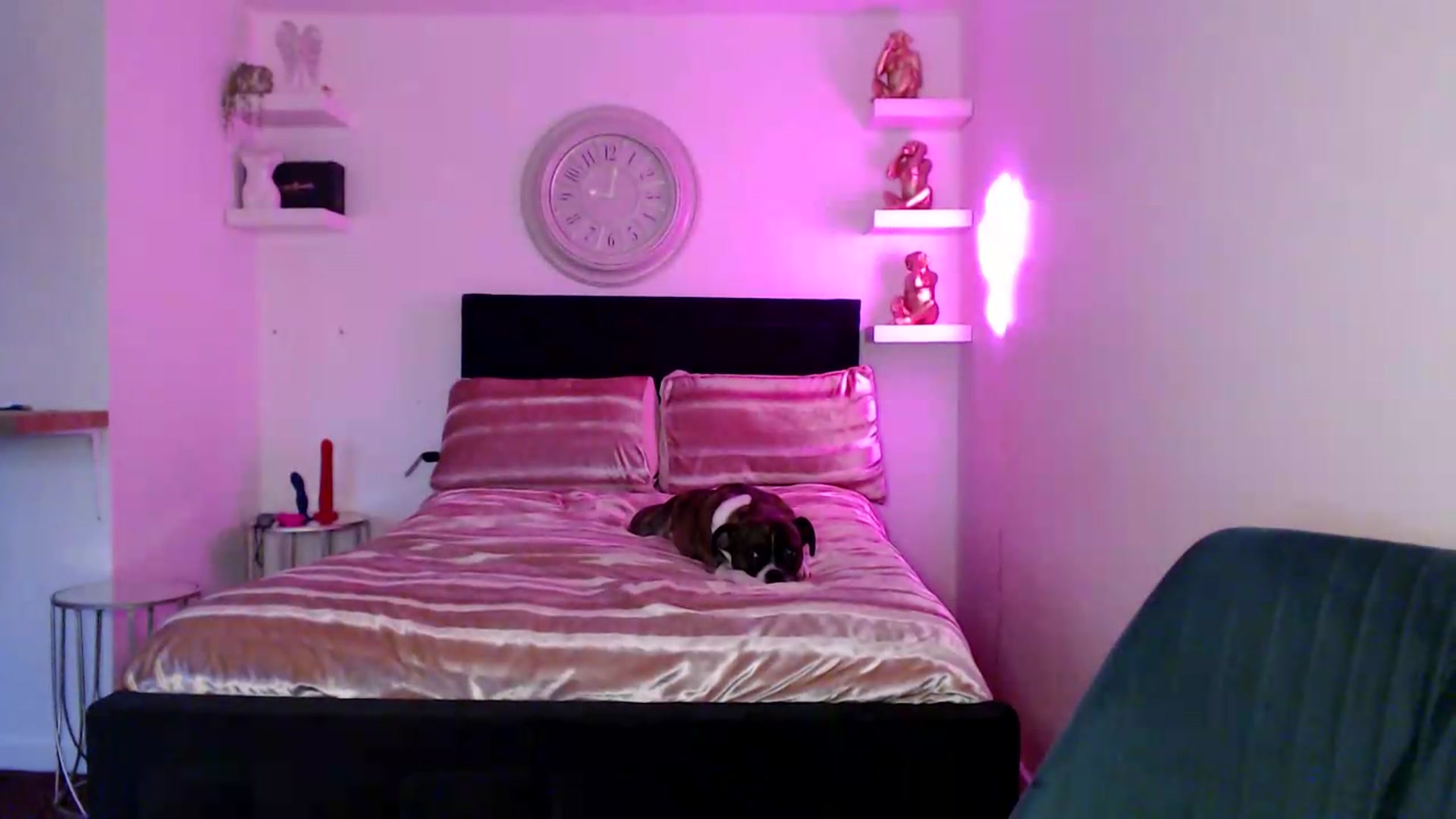 Gallery image thumbnail from innocentSamx's myfreecams stream on, 08/14/2026, 17:52 image 17 of 20