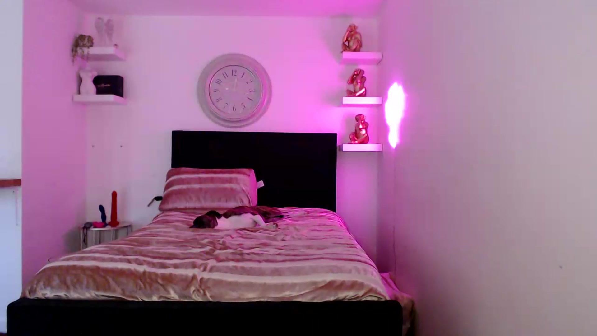 Gallery image thumbnail from innocentSamx's myfreecams stream on, 08/15/2026, 10:12 image 13 of 20