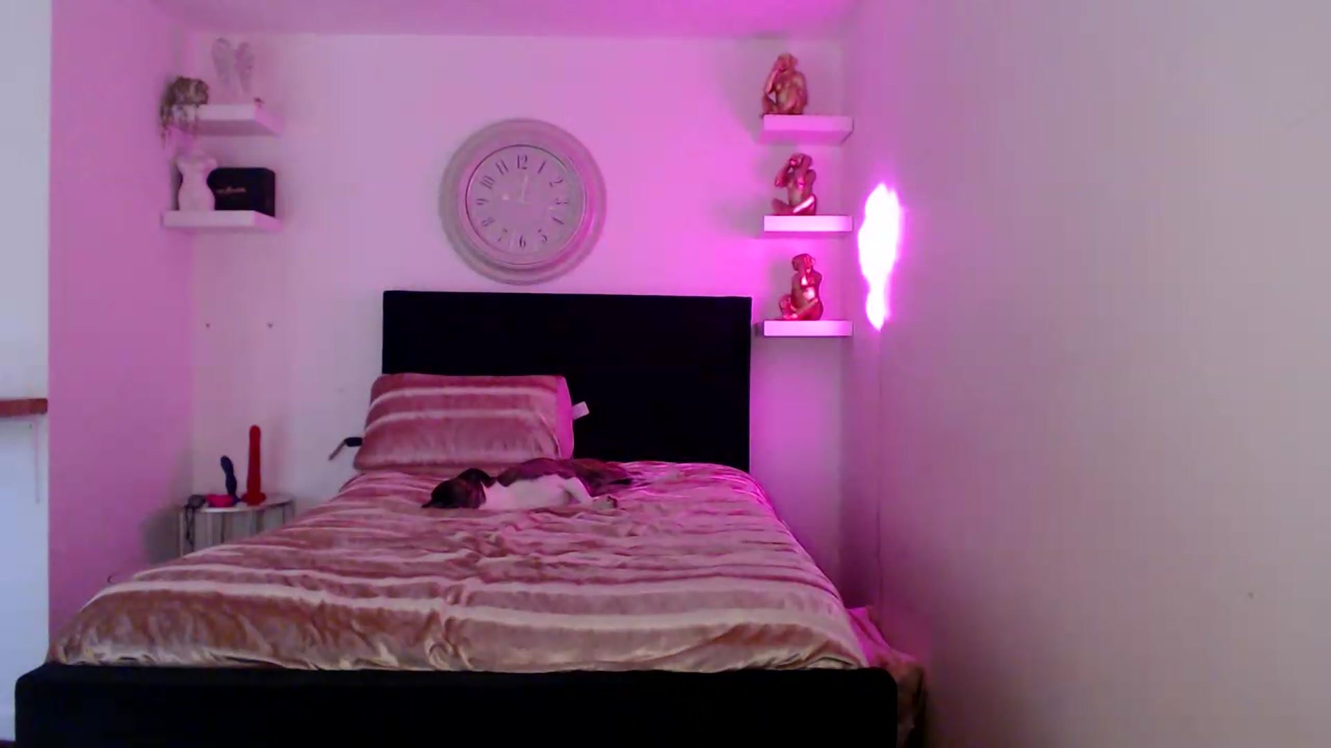 Gallery image thumbnail from innocentSamx's myfreecams stream on, 08/15/2026, 10:12 image 12 of 20