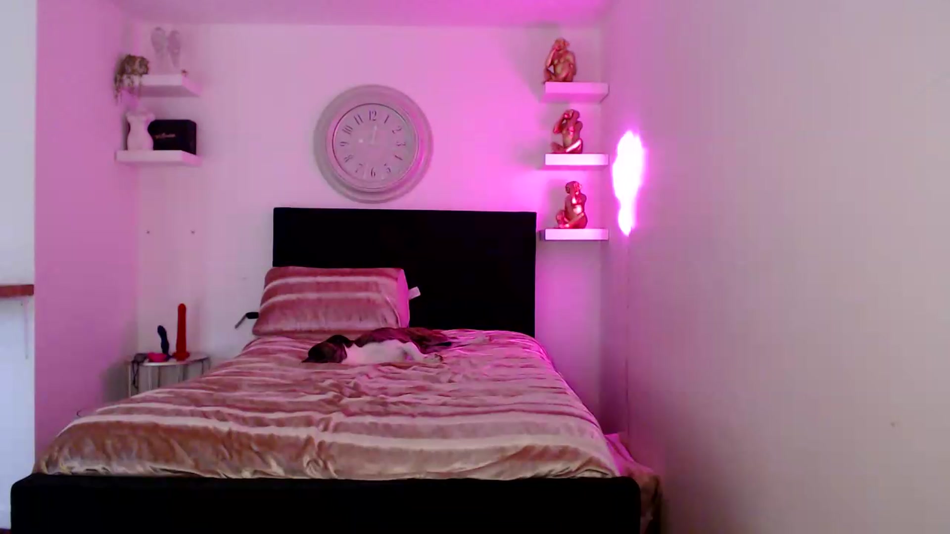 Gallery image thumbnail from innocentSamx's myfreecams stream on, 08/15/2026, 10:12 image 15 of 20