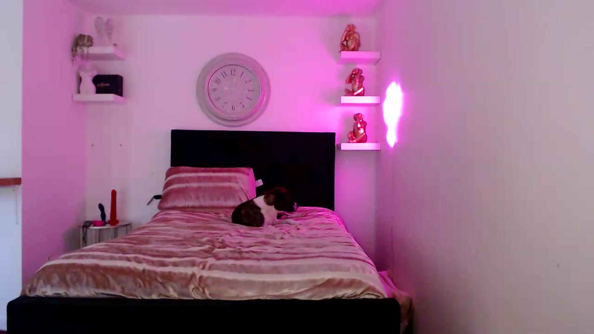 Gallery image thumbnail from innocentSamx's myfreecams stream on, 08/15/2026, 10:12 image 16 of 20